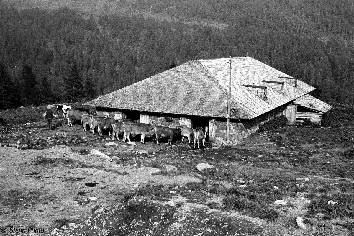 E dopo una bella bevuta, tutti a nanna