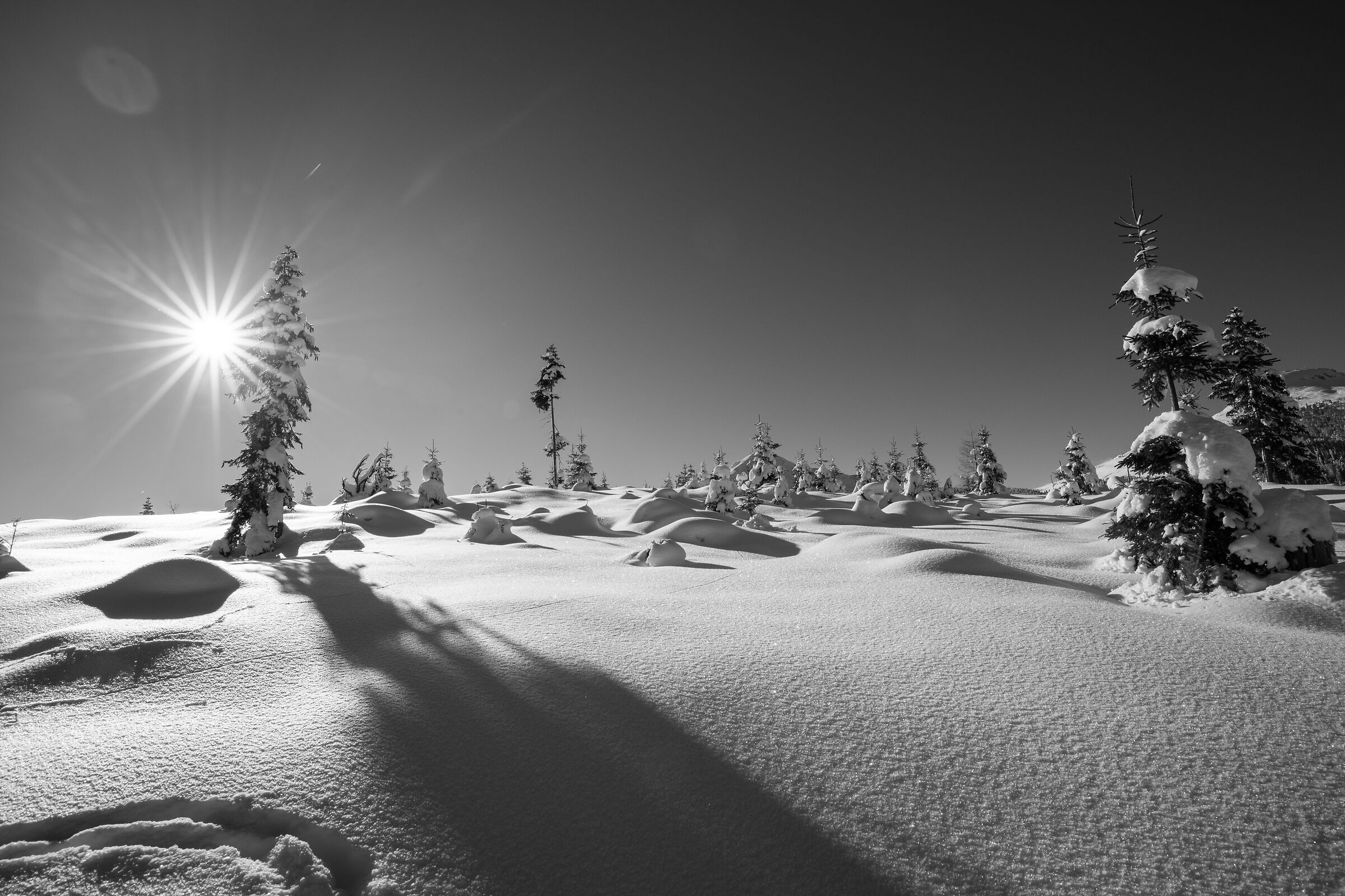 un inverno in bianco e nero