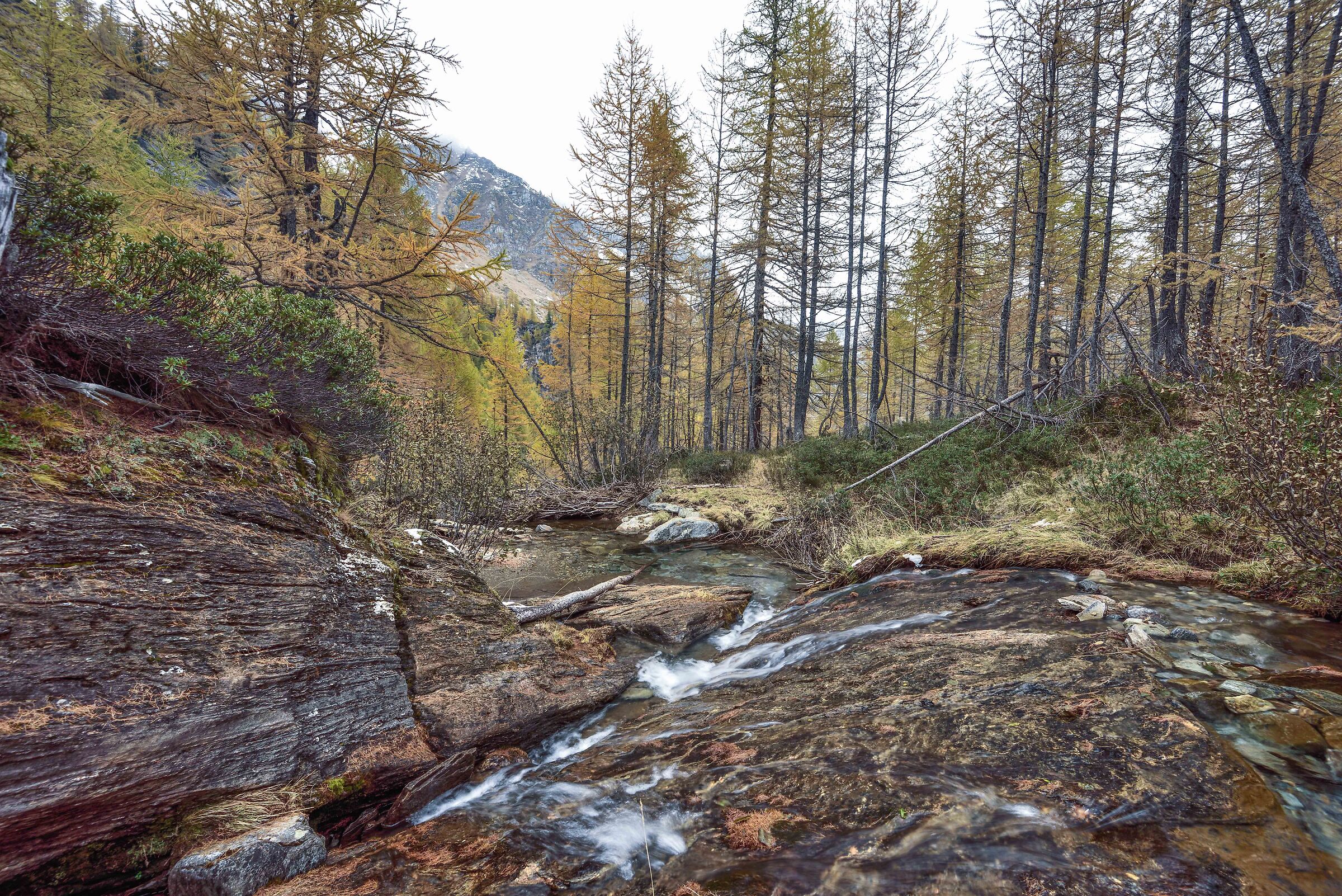 sul sentiero di ritorno dal Lago Nero