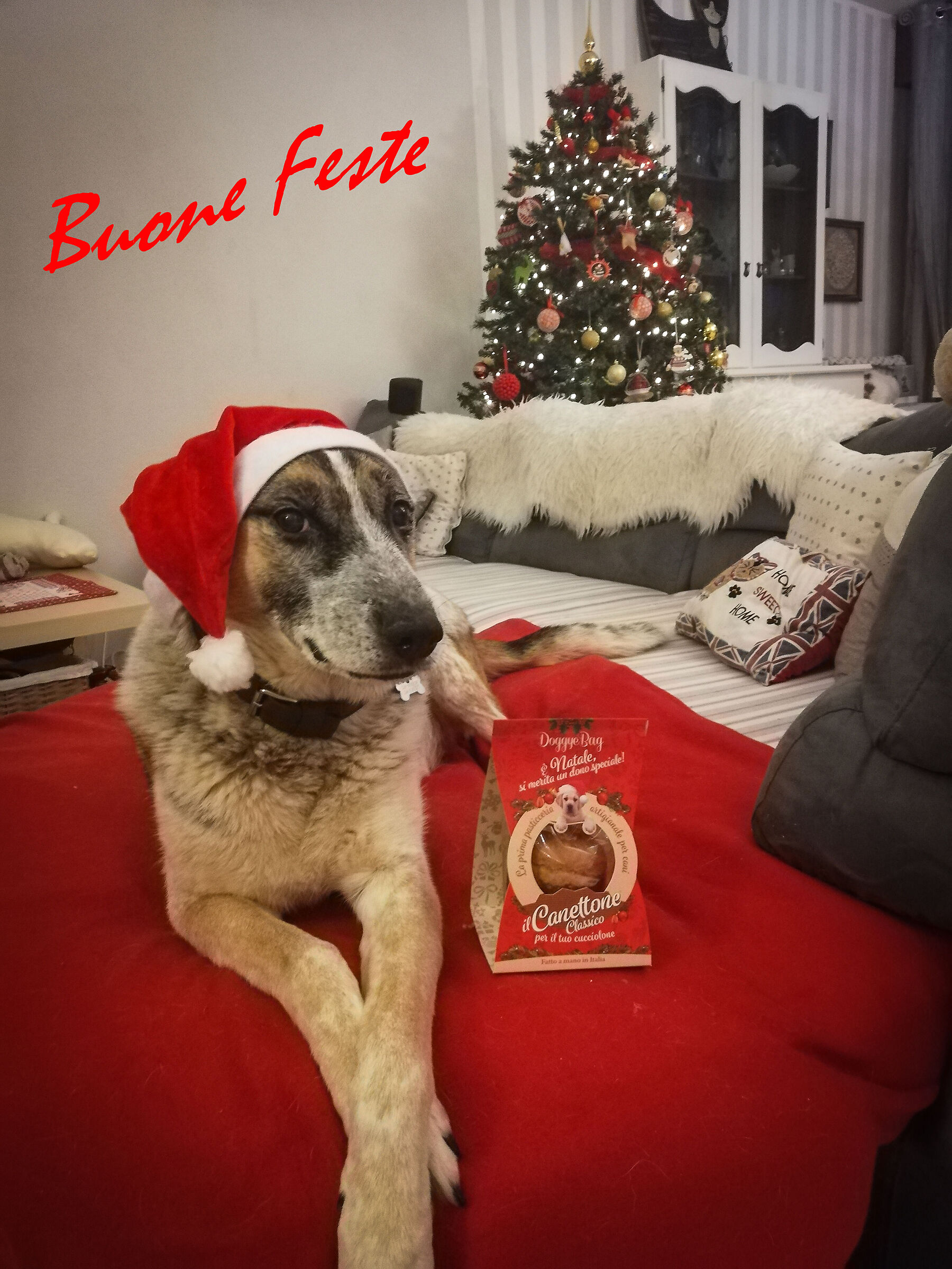 Happy Holidays to all from Roger