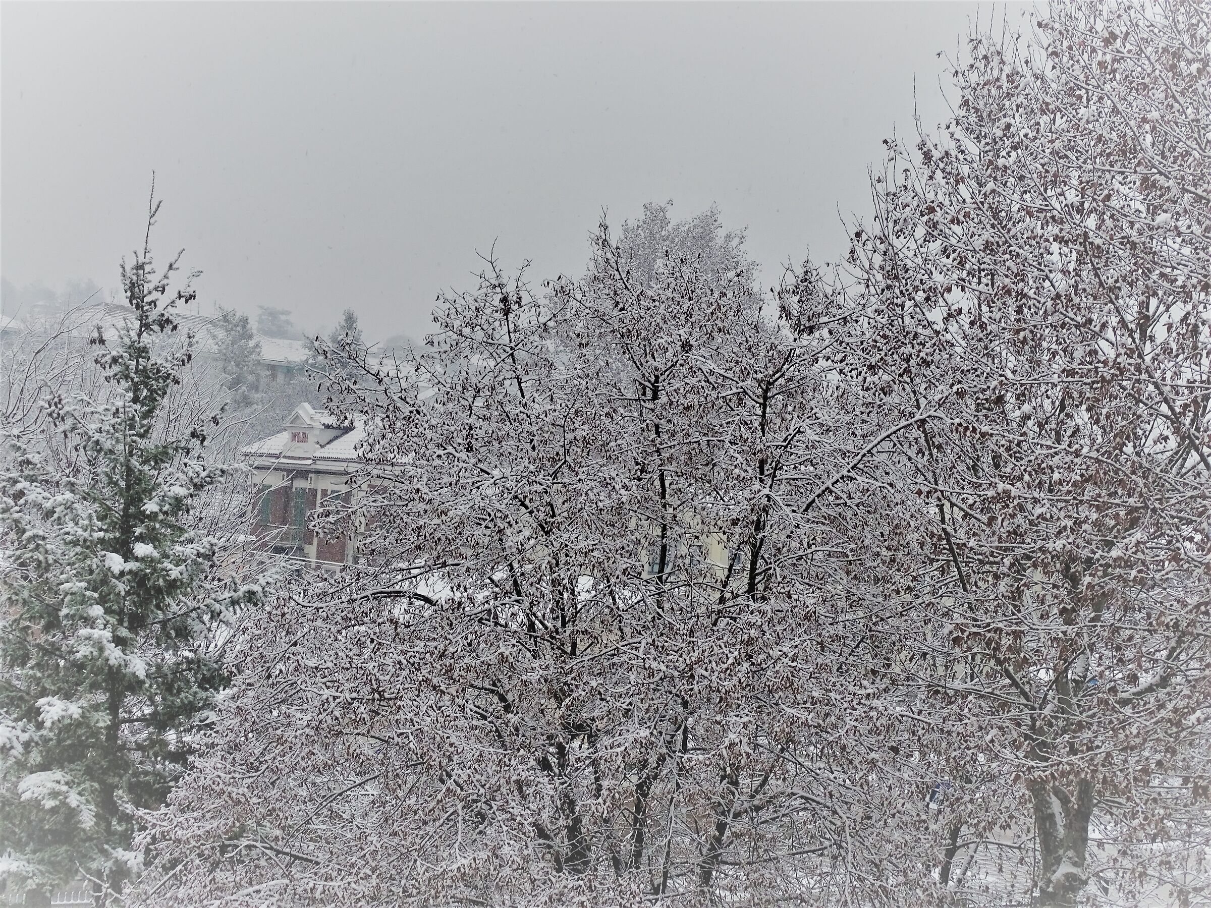 nevicata del 28-12-2020