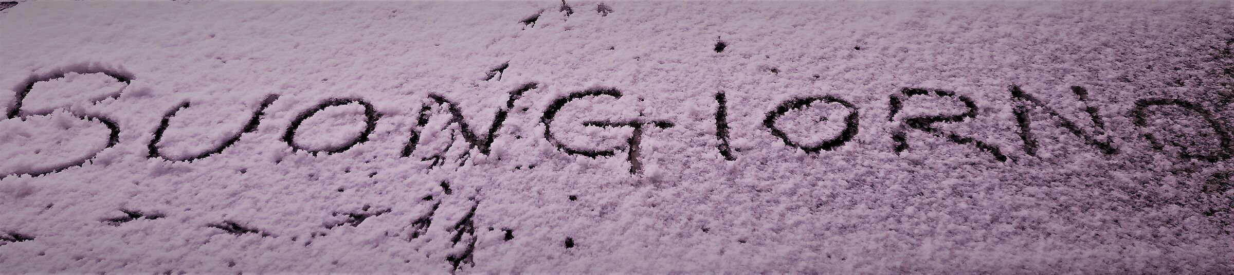 nevicata del 28-12-2020