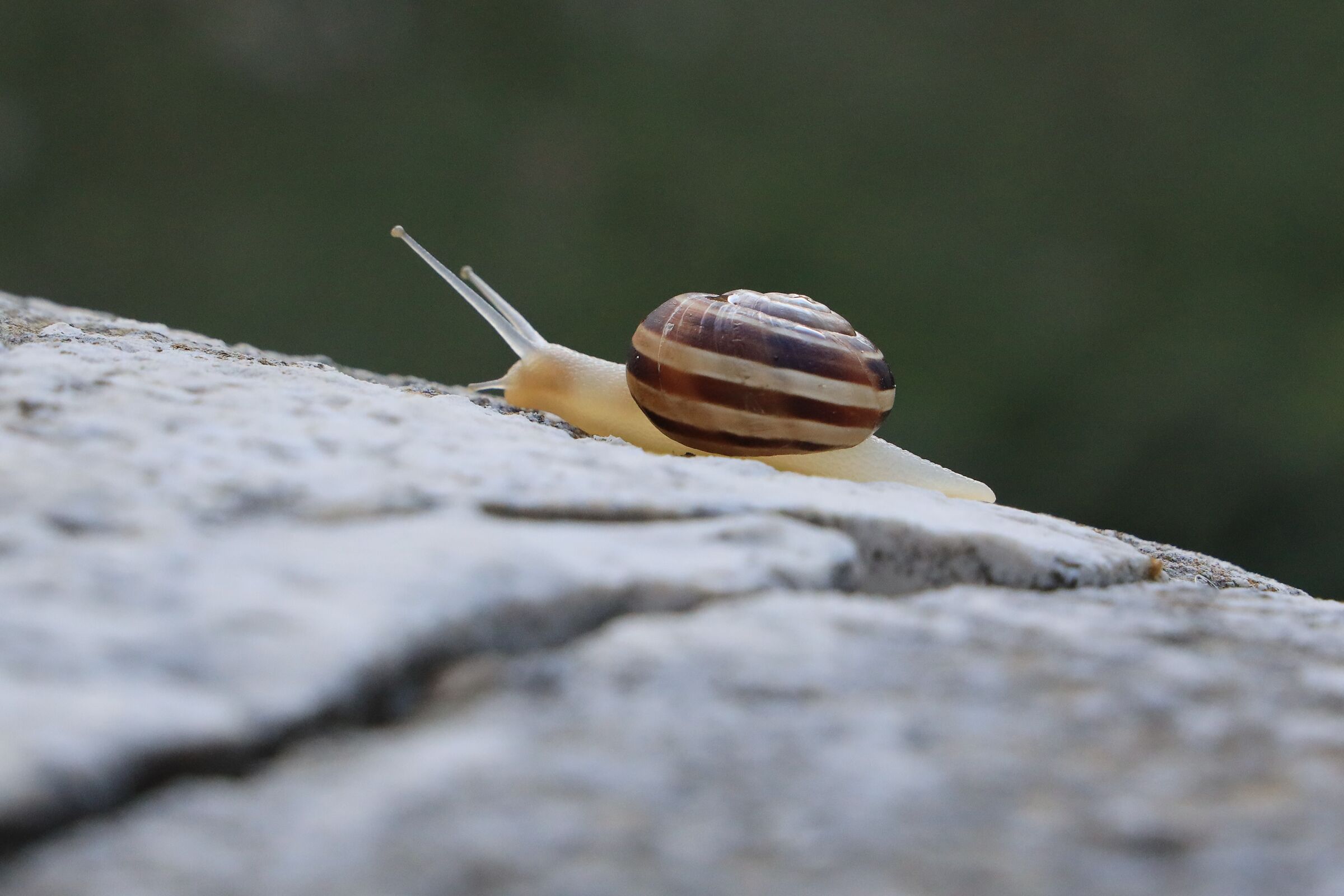 piano piano tutto si supera...