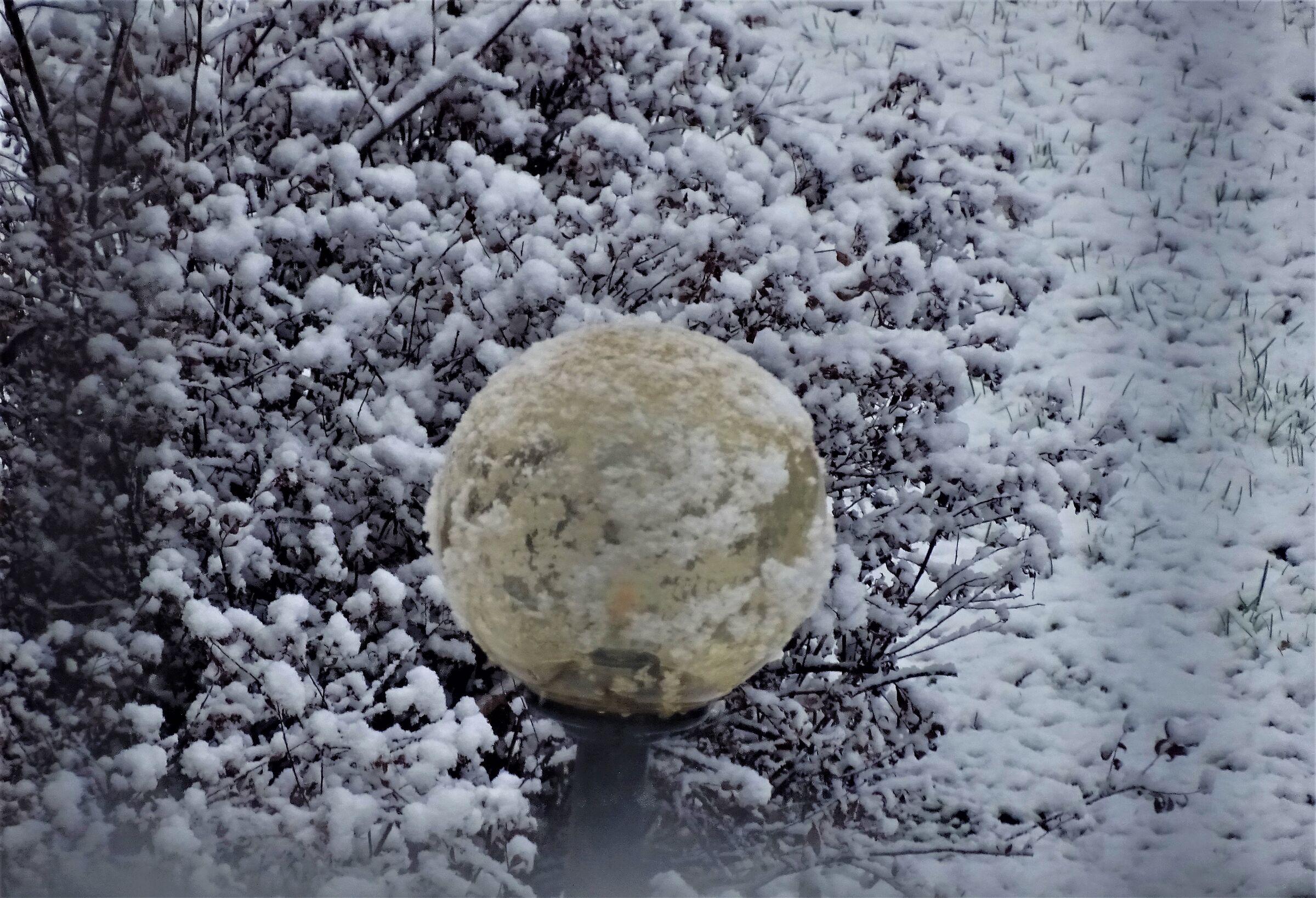 nevicata del 28-12-2020