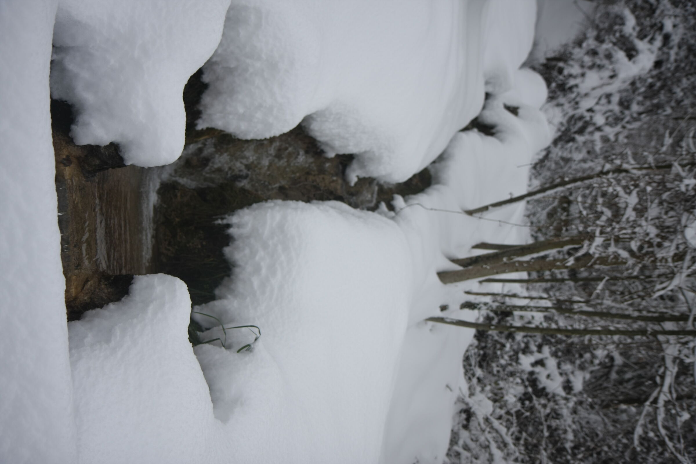 L'Arché...il principio di tutte le cose