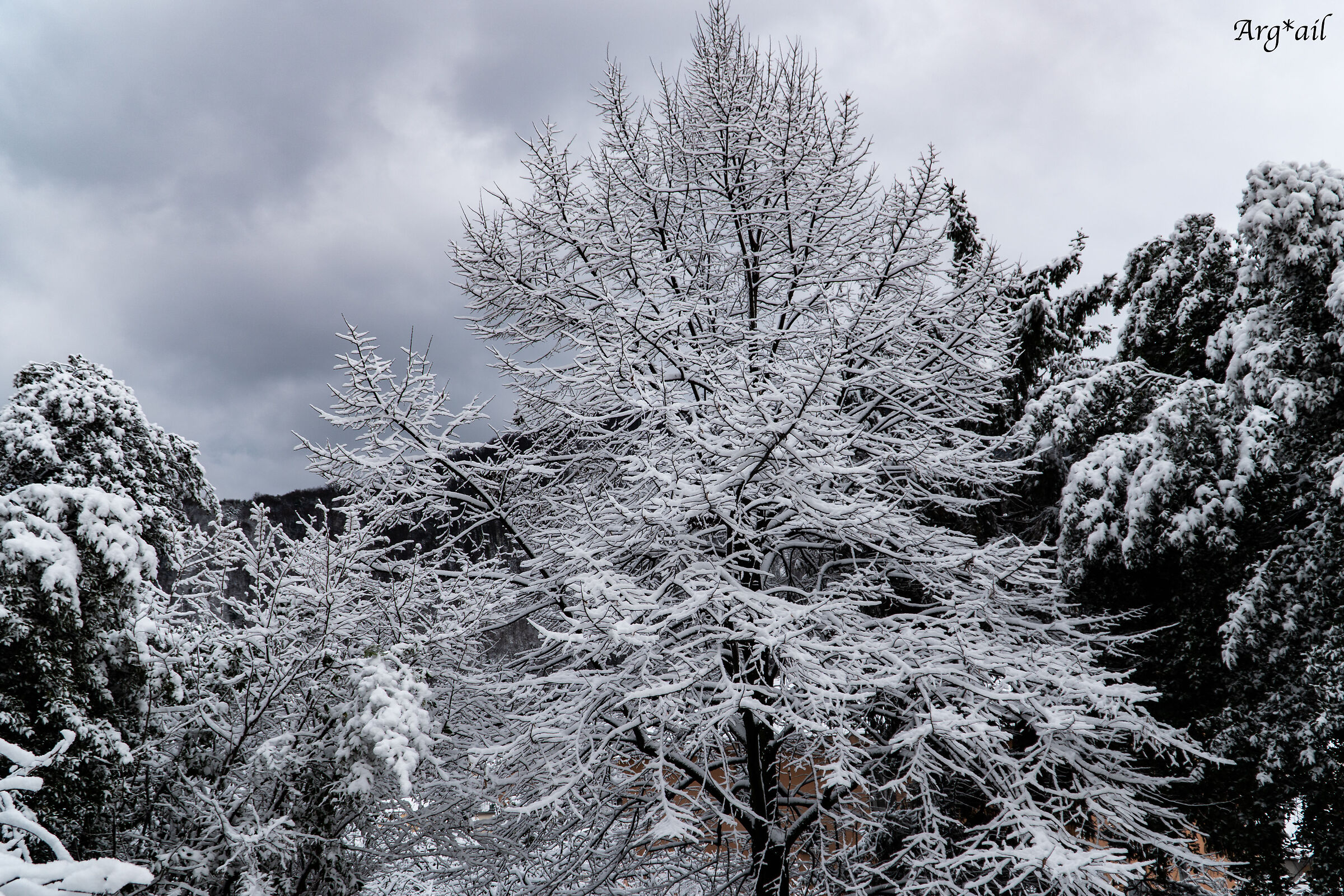 Snow