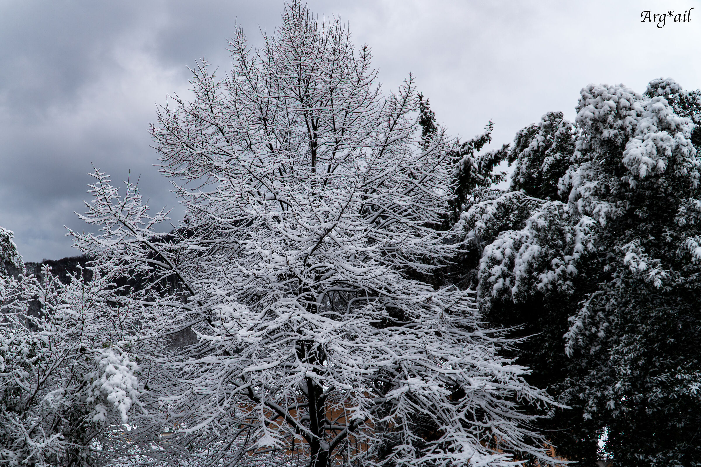 Snow