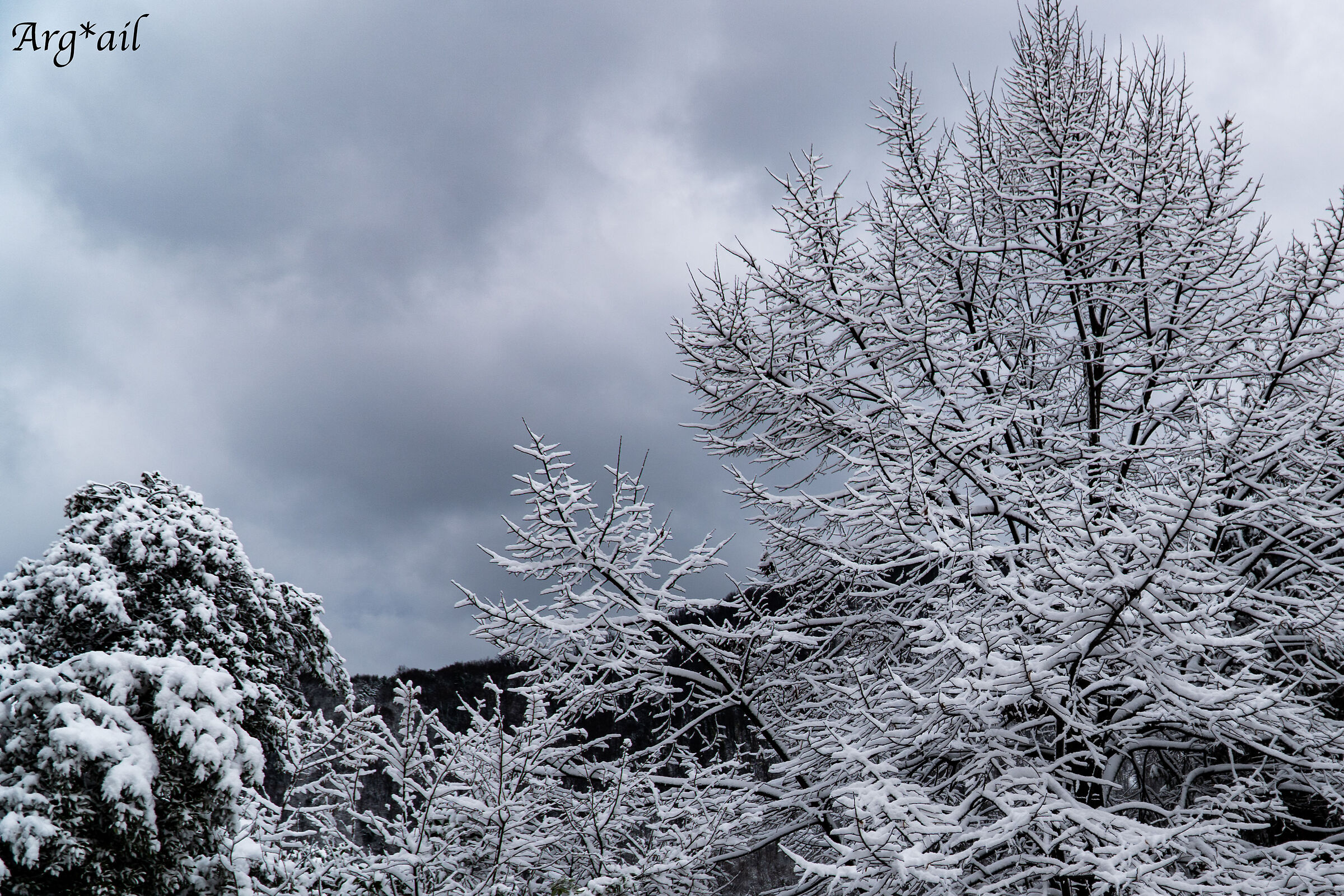 Snow
