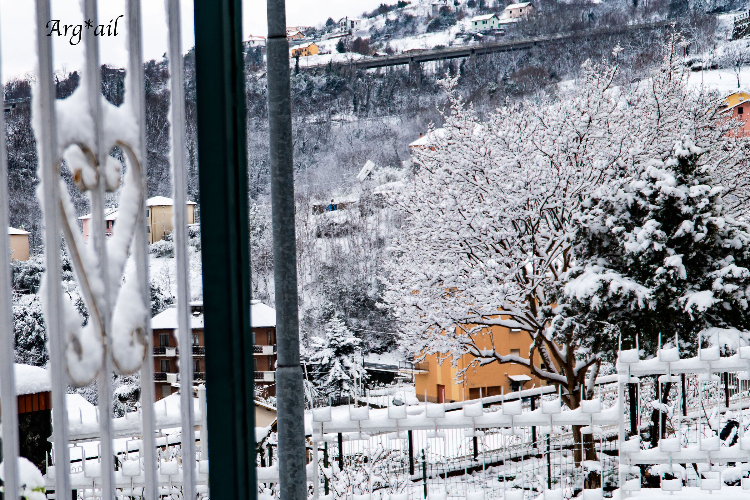 Snowy gate
