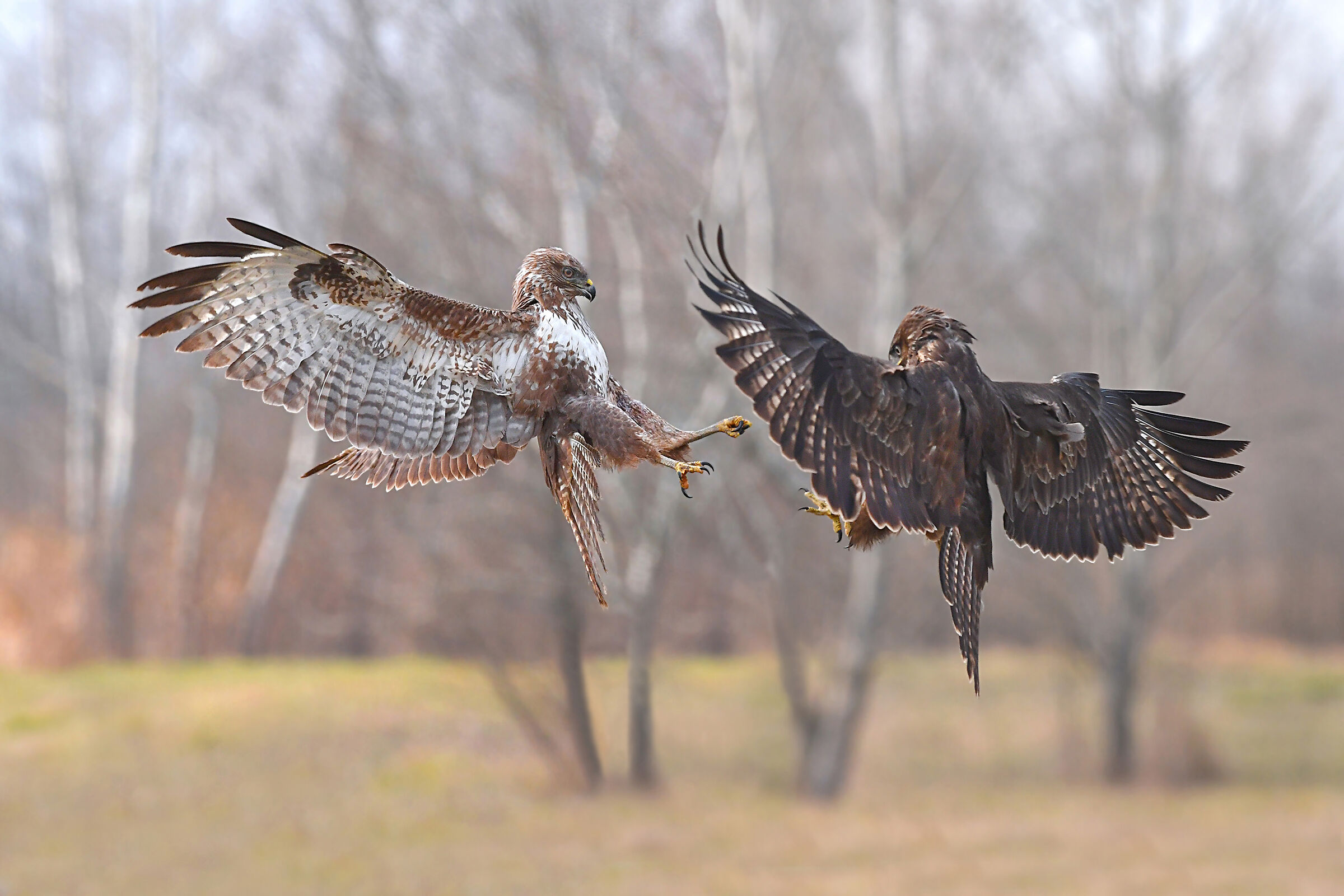 The fight continues...