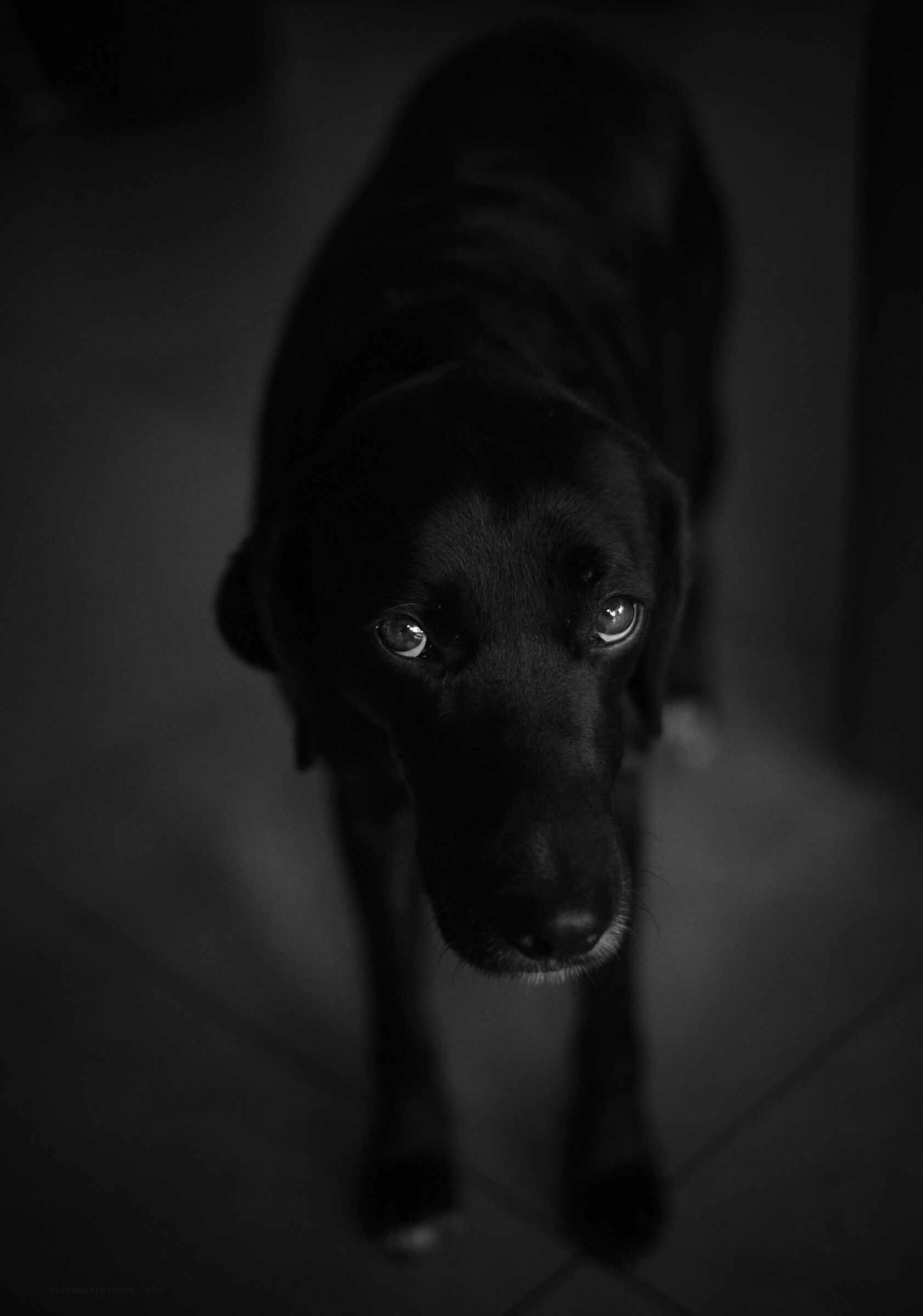 Yöta (notte in finlandese)