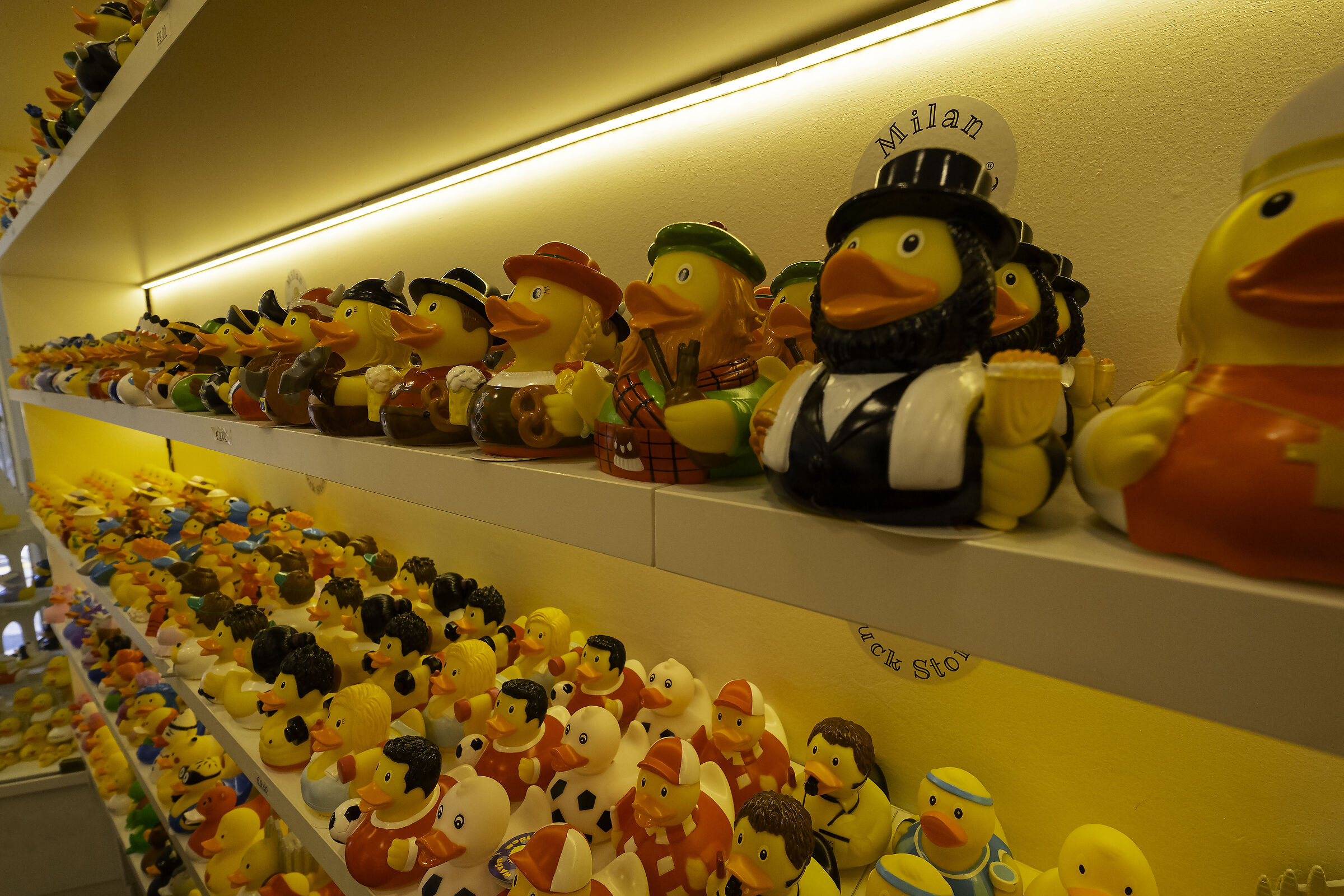 Duck store Milano