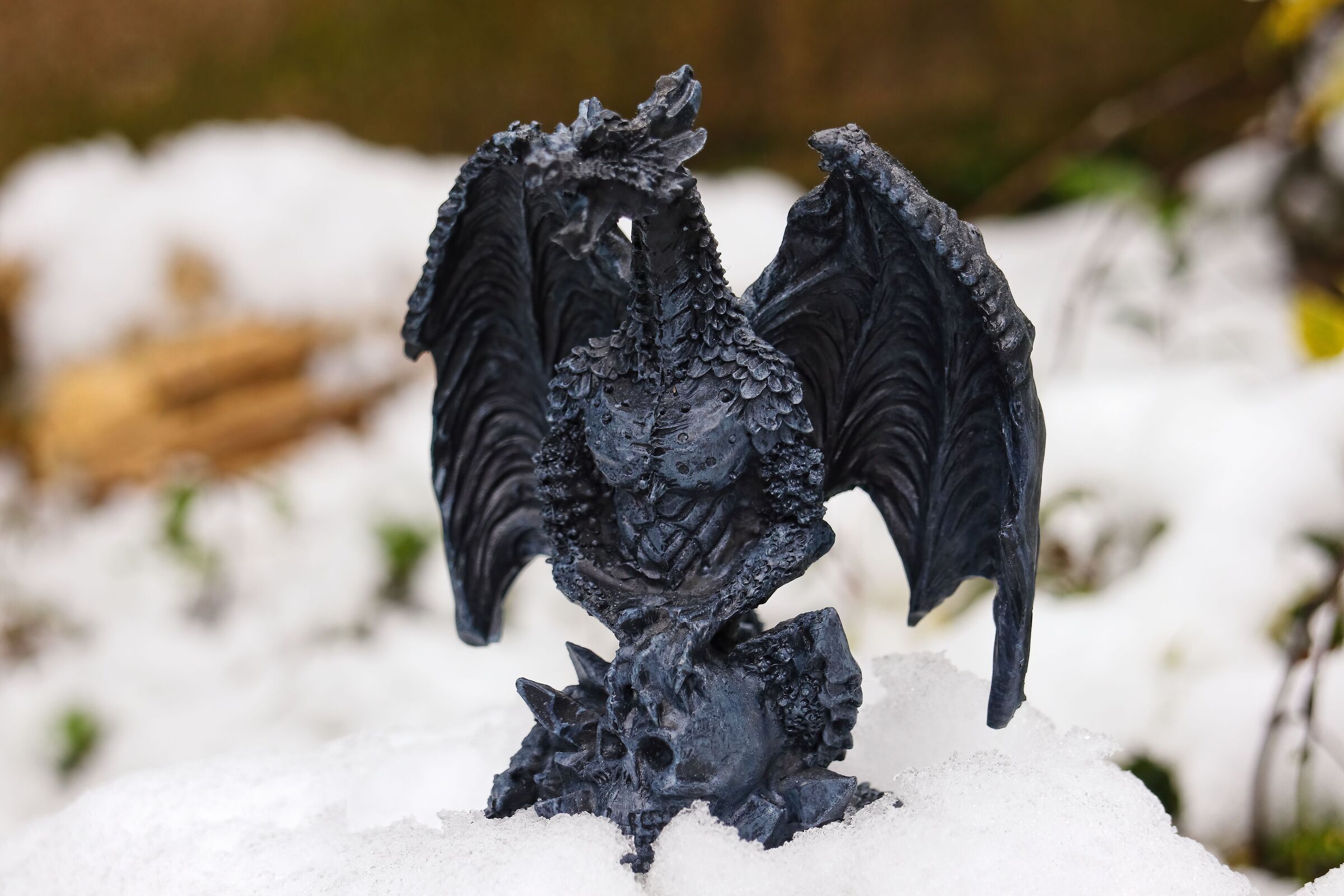 Winter dragon