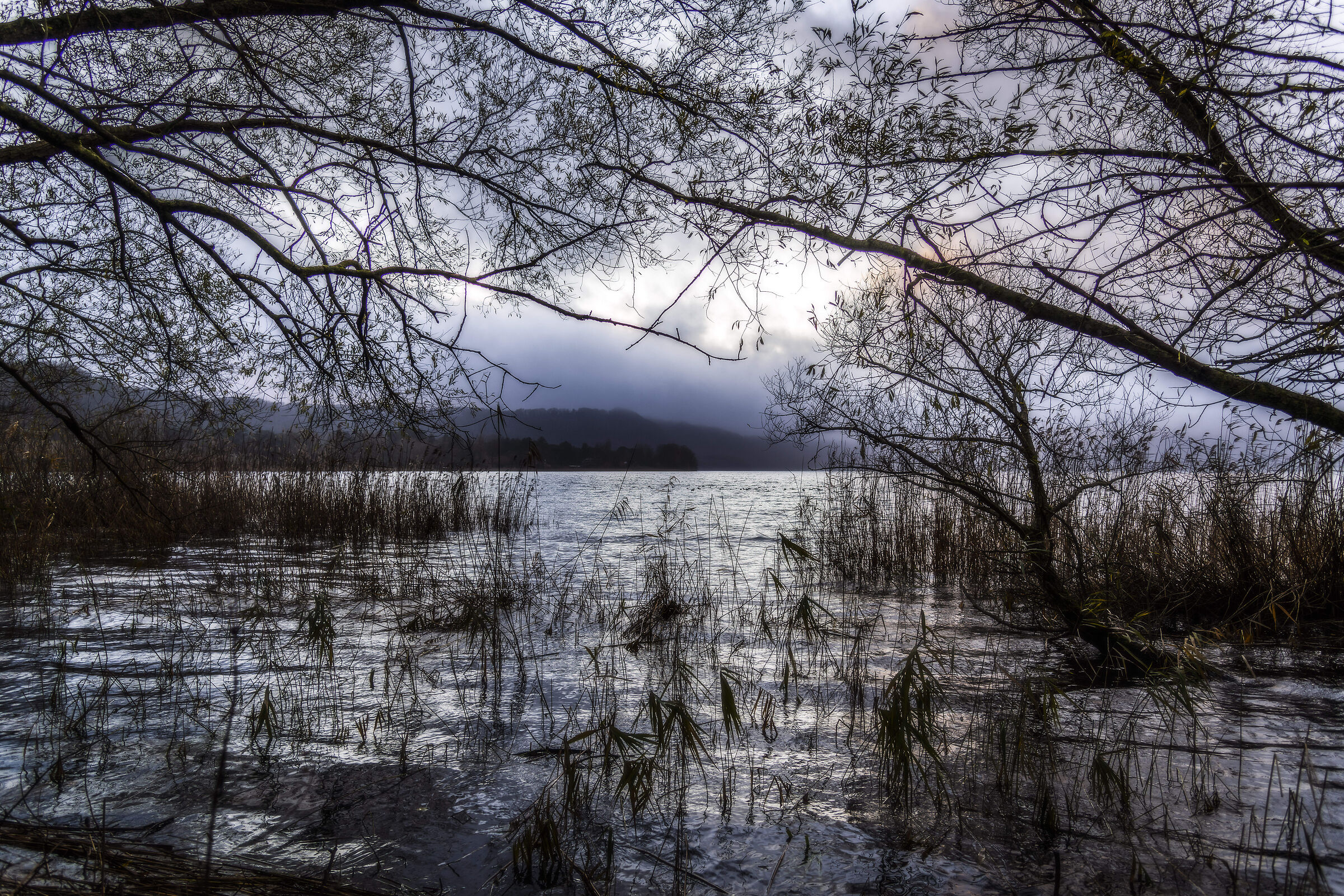 Lago di Vico, cromie invernali
