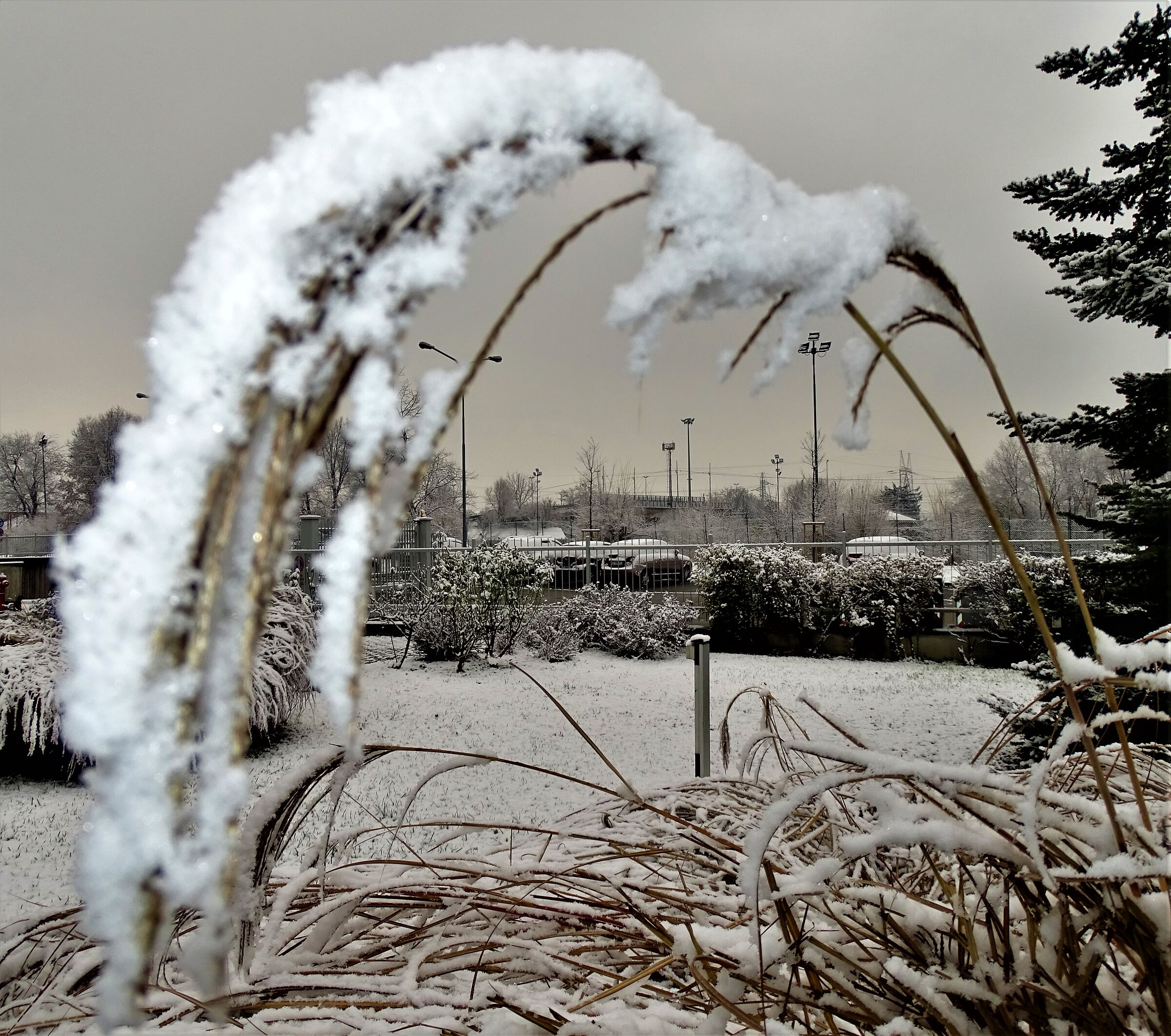 nevicata del 28-12-2020