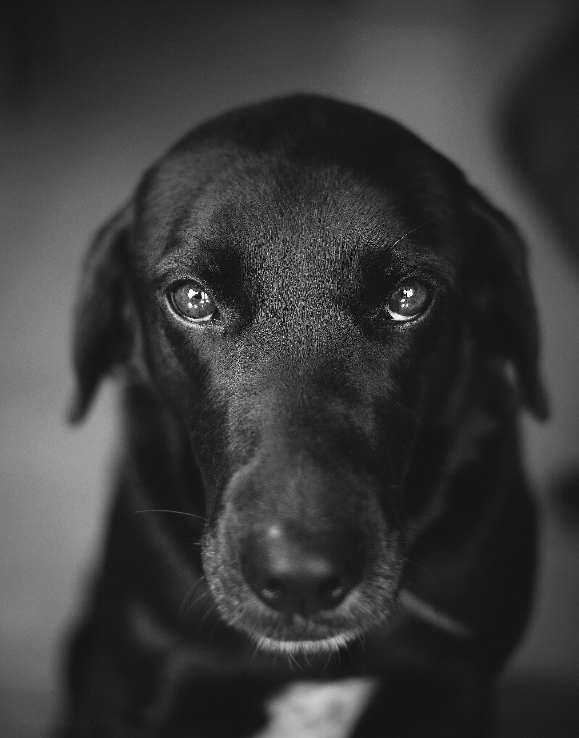 Yöta #2 (notte in finlandese)