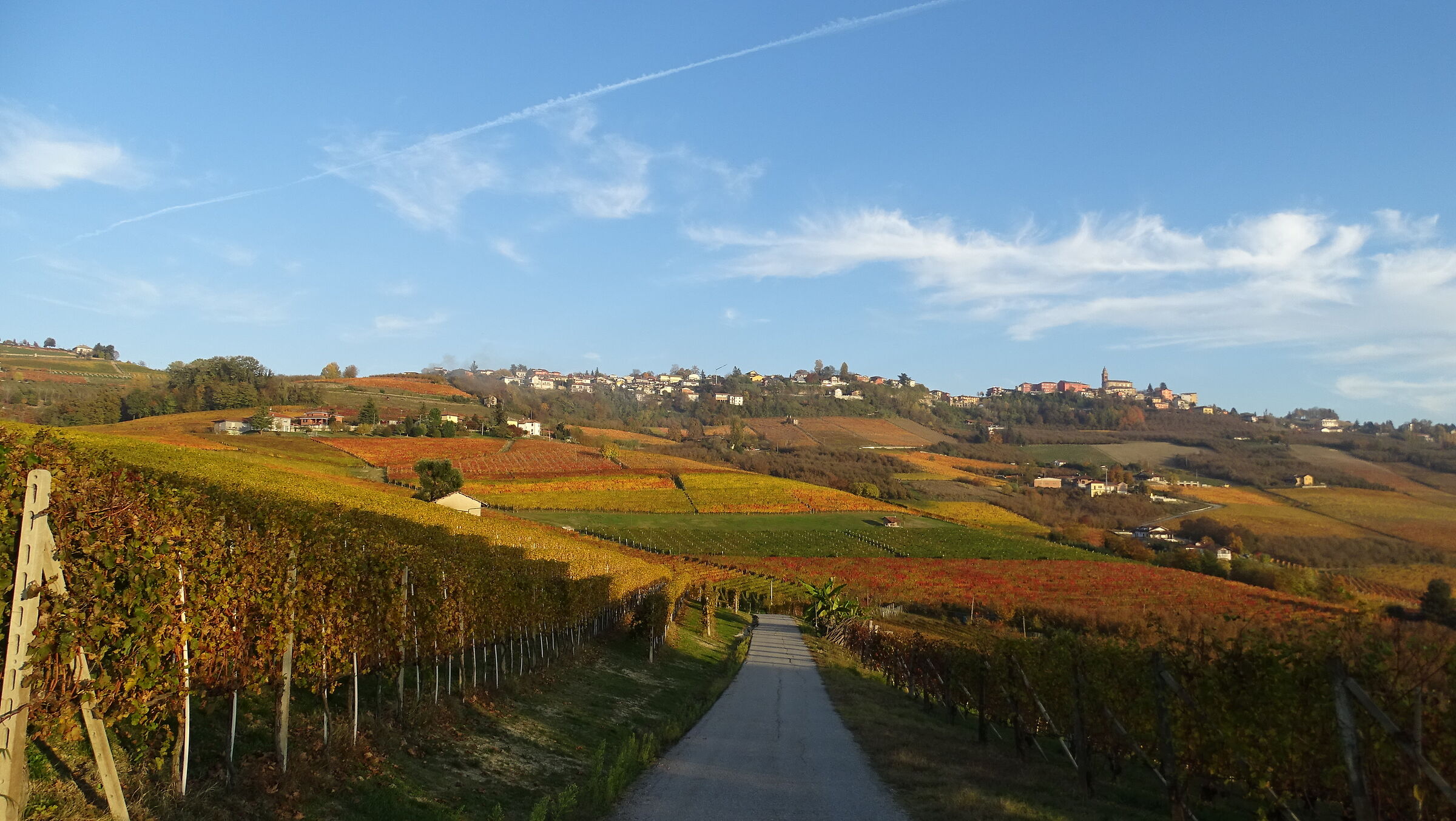 Langhe, foliage (3)