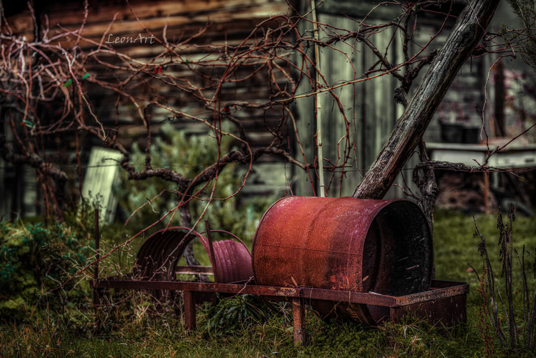 Rural Landscape