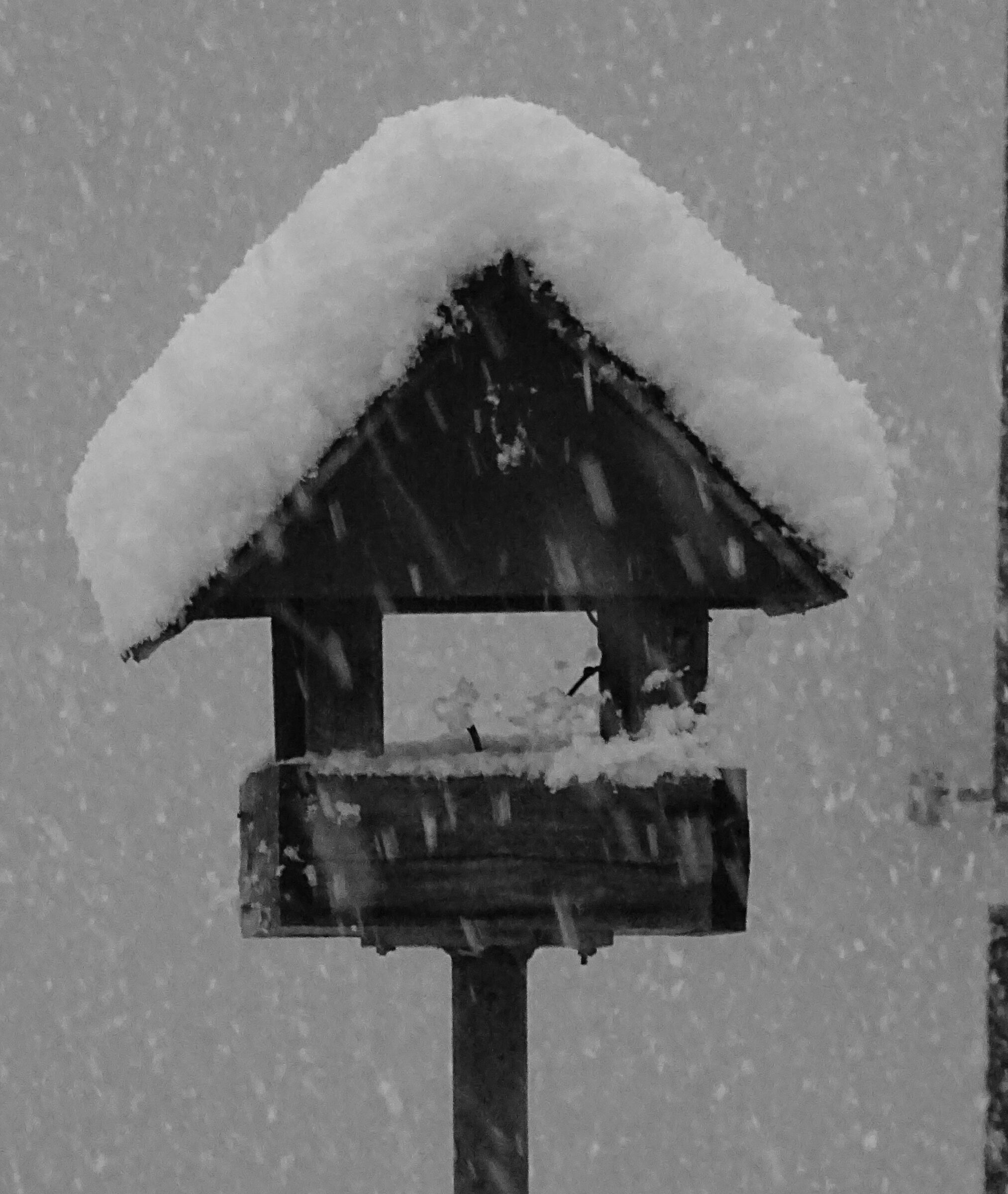 the little house