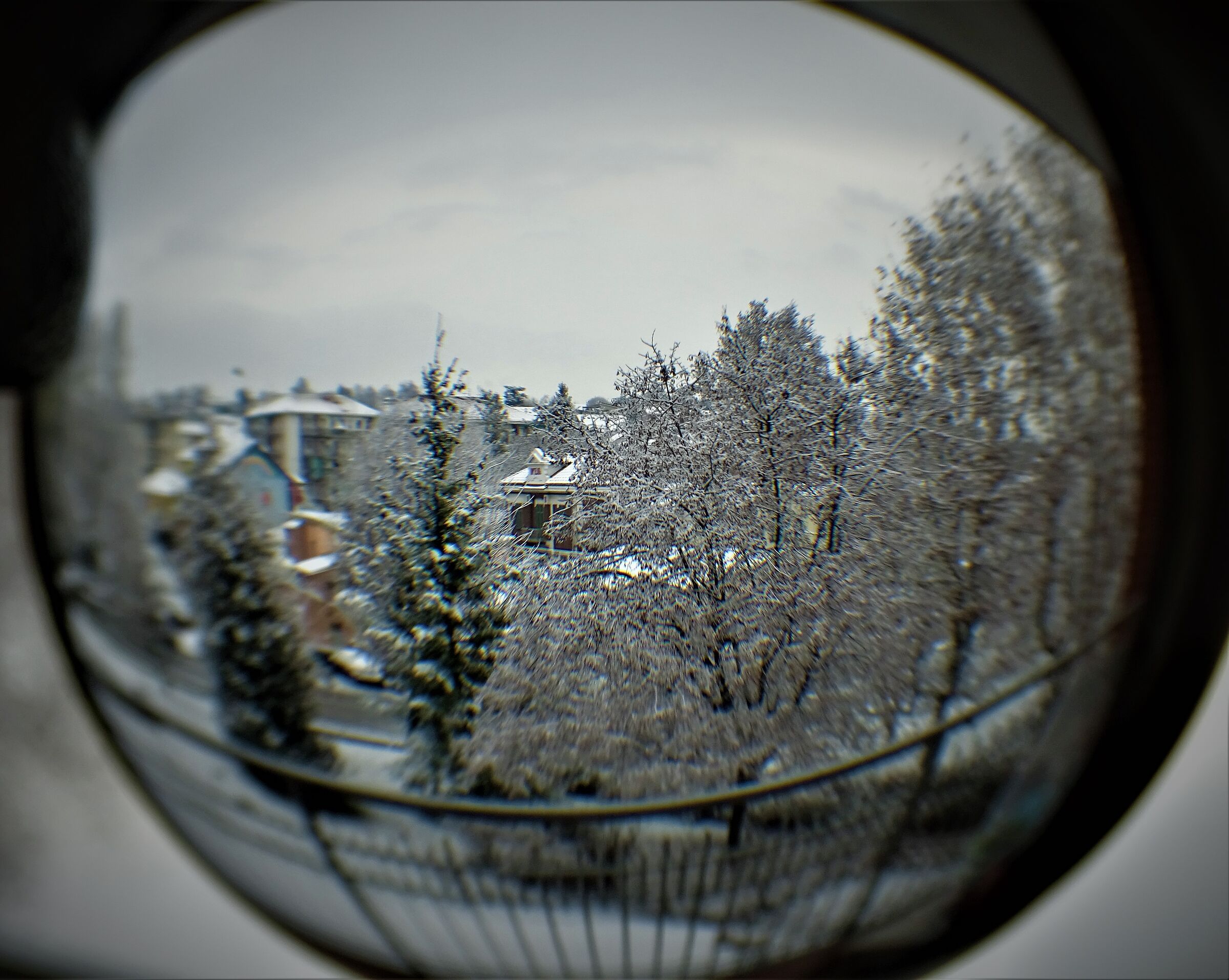 il mondo dentro una sfera di cristallo..