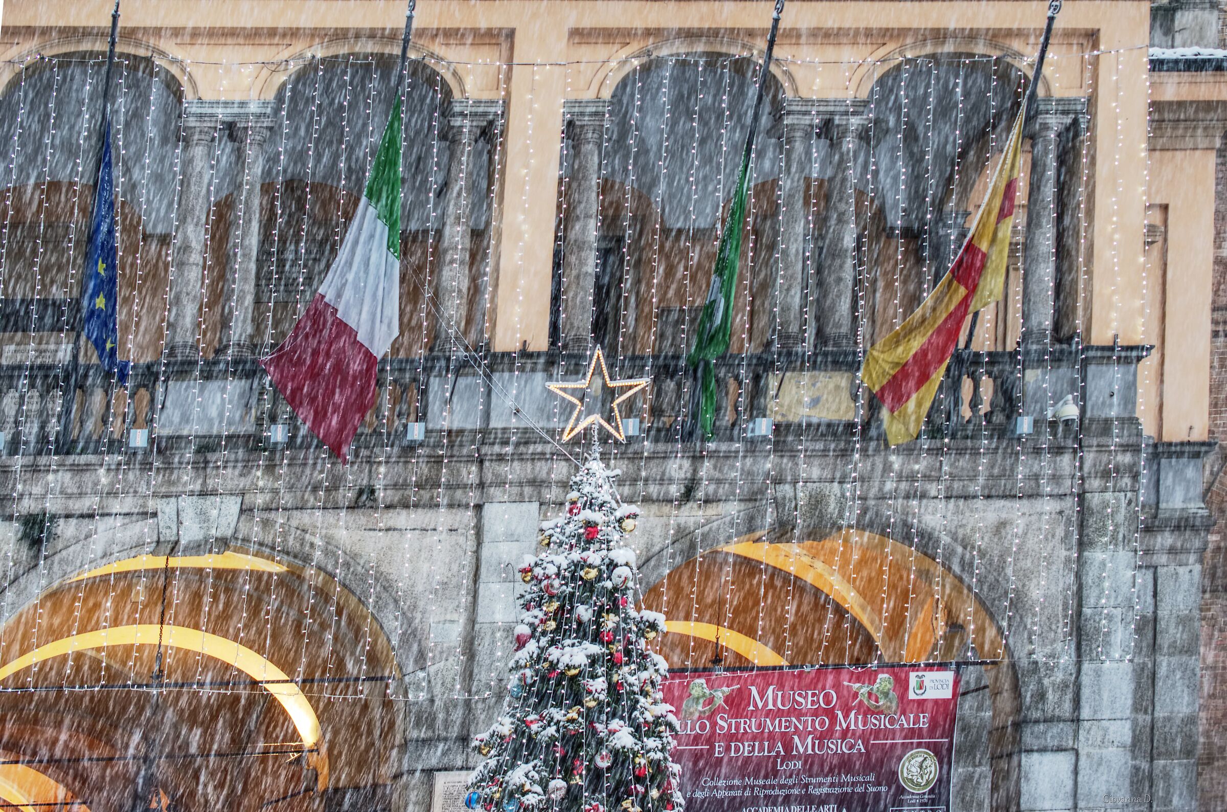 Albero di Natale e Bandiere