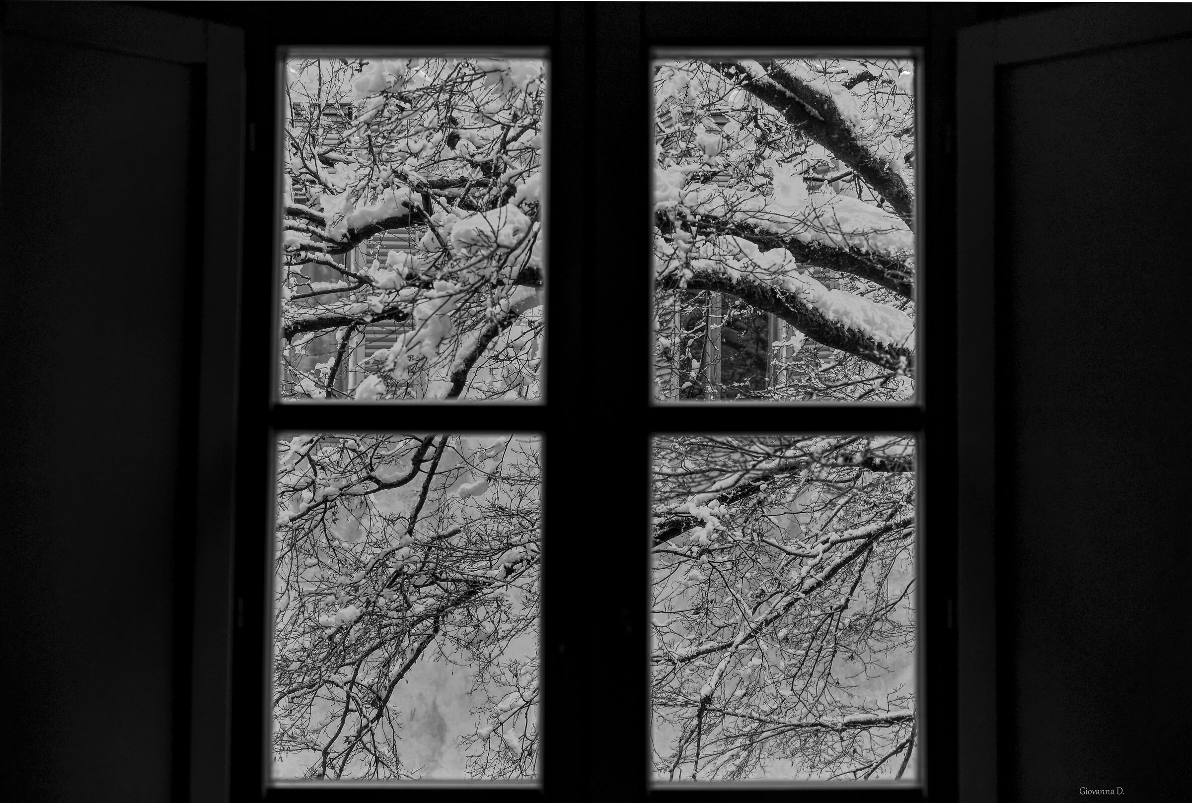 Guardando dalla finestra