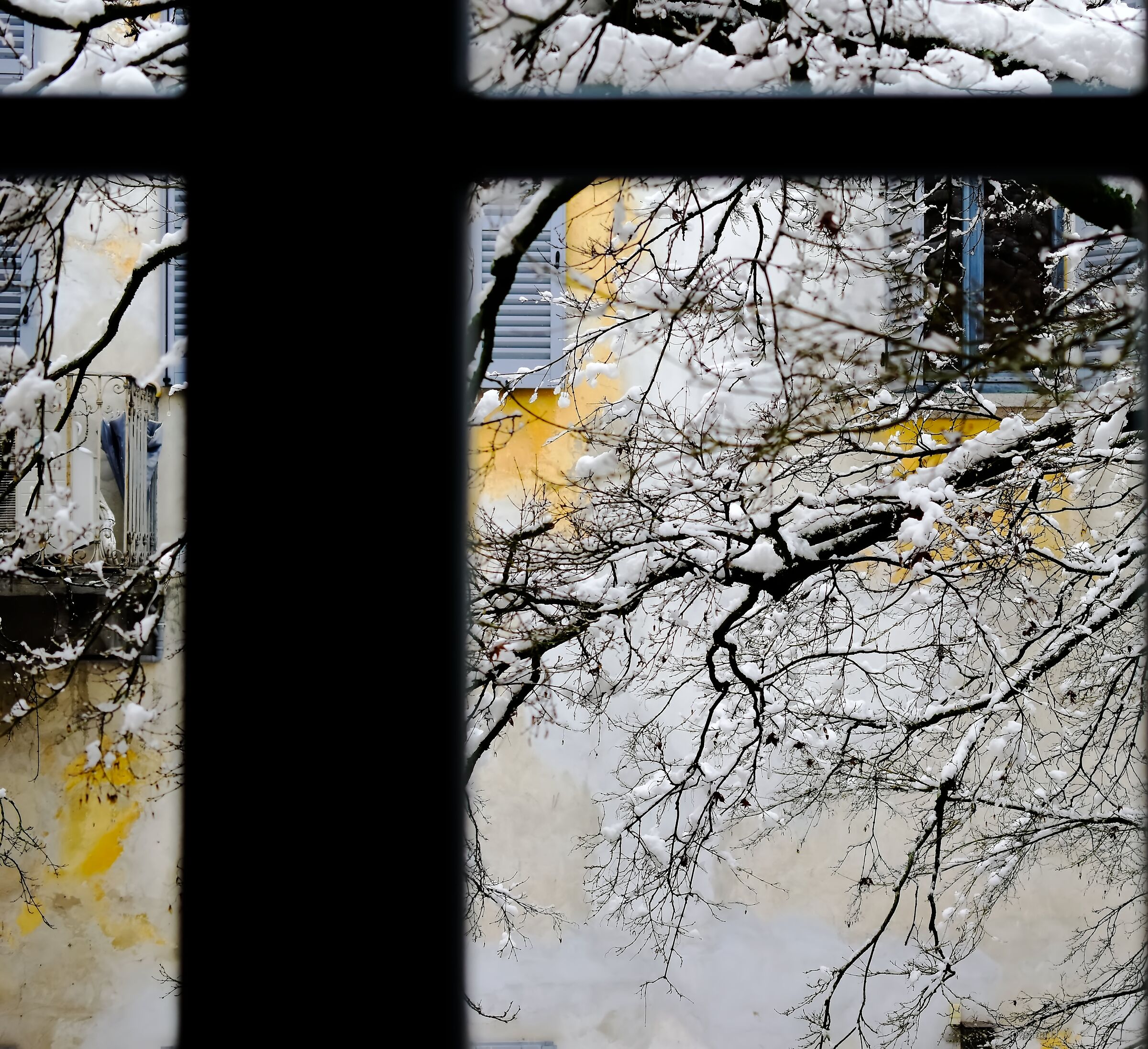 Affacciati alla finestra