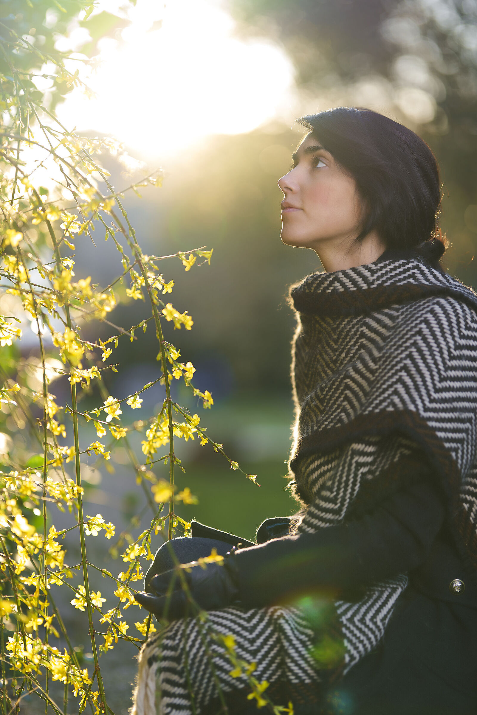 L'ultima luce dell'autunno