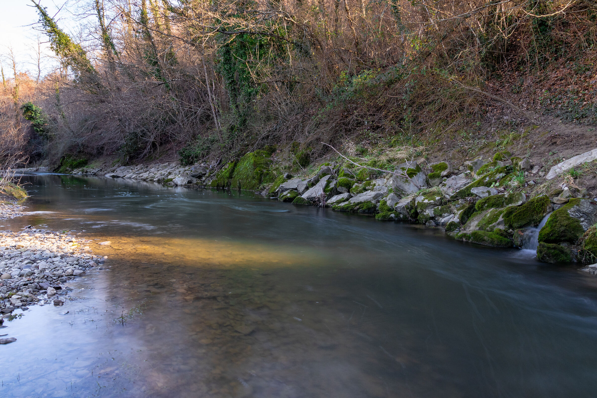 Fiume Niccone