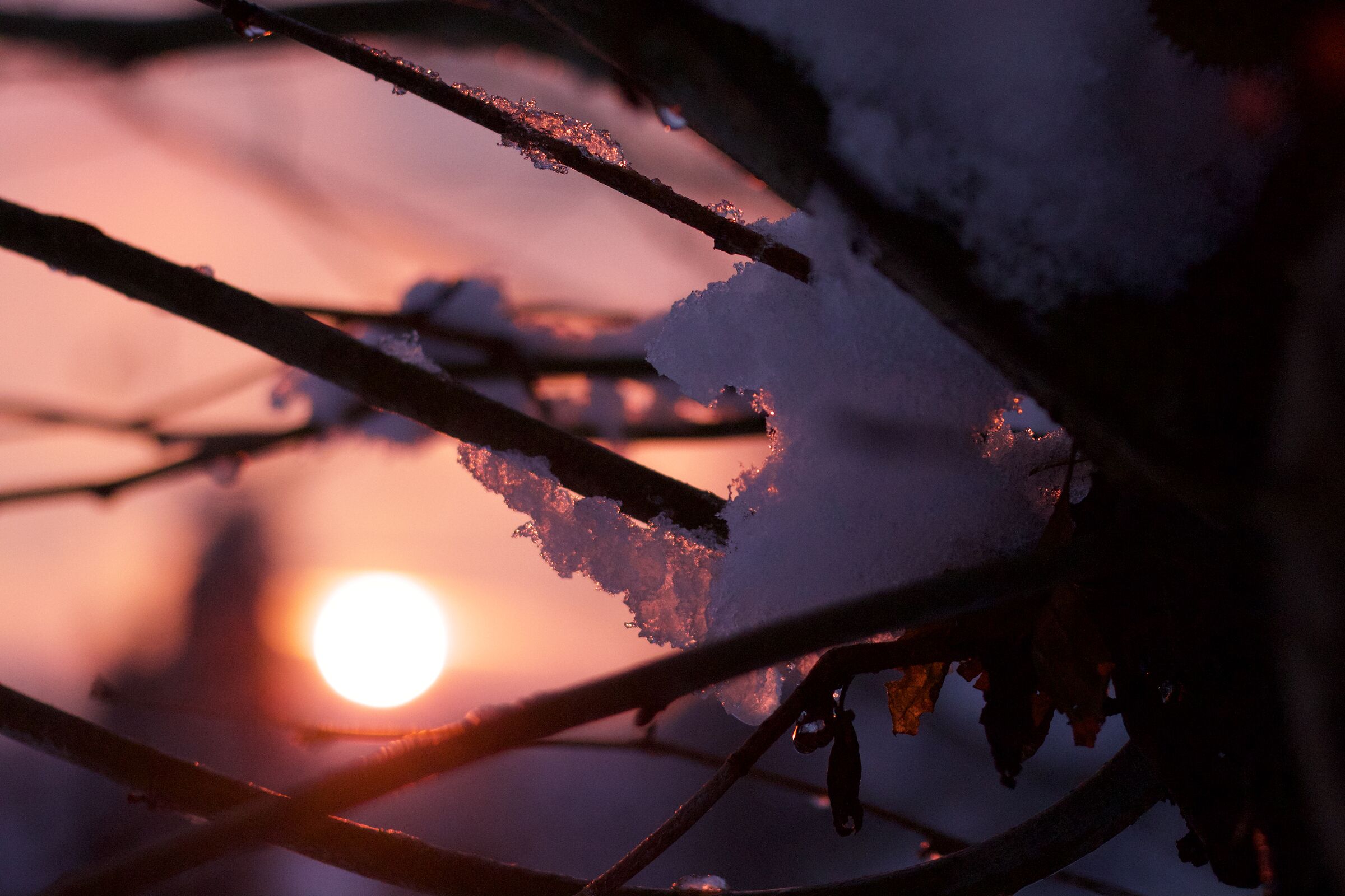 Tramonto e neve