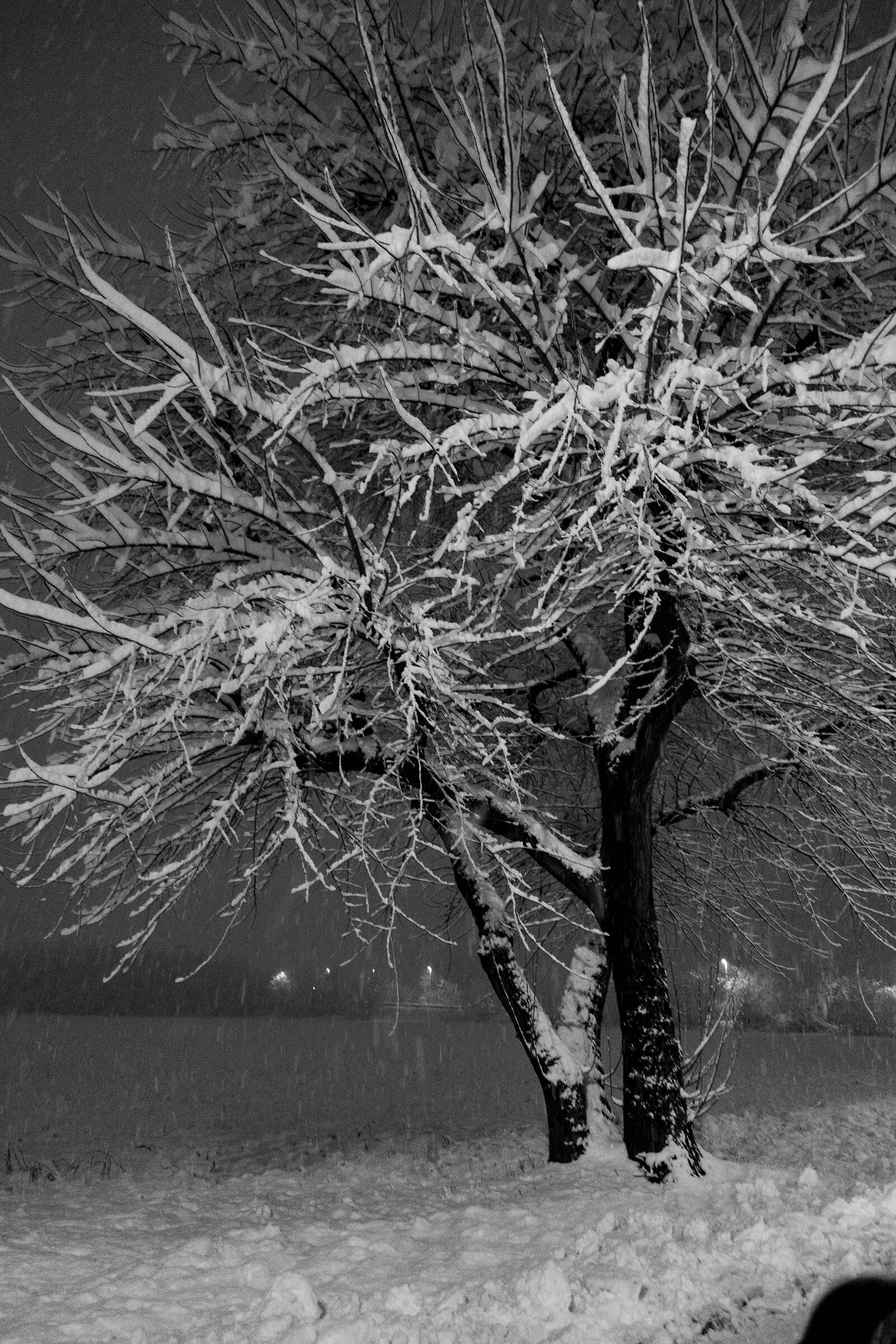 nevicata 28/12/2020 2