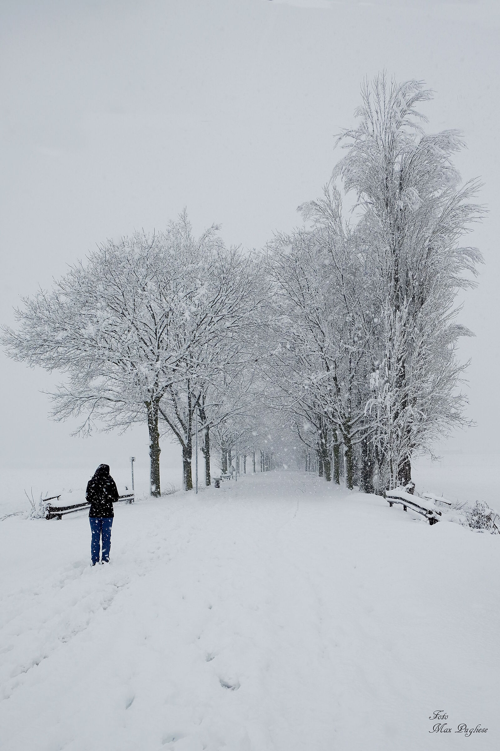 Passeggiando sotto la neve