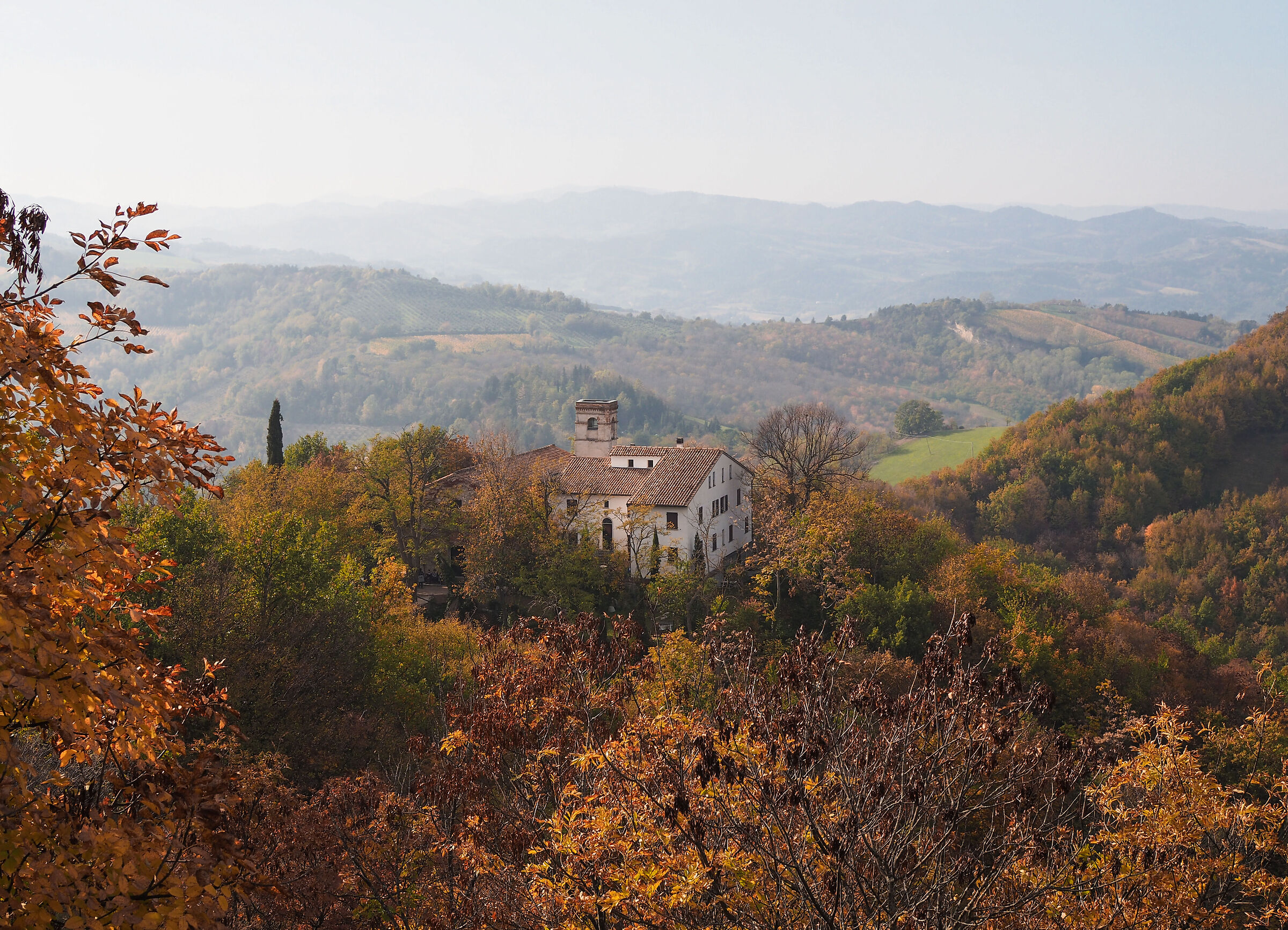 Mount Mauro