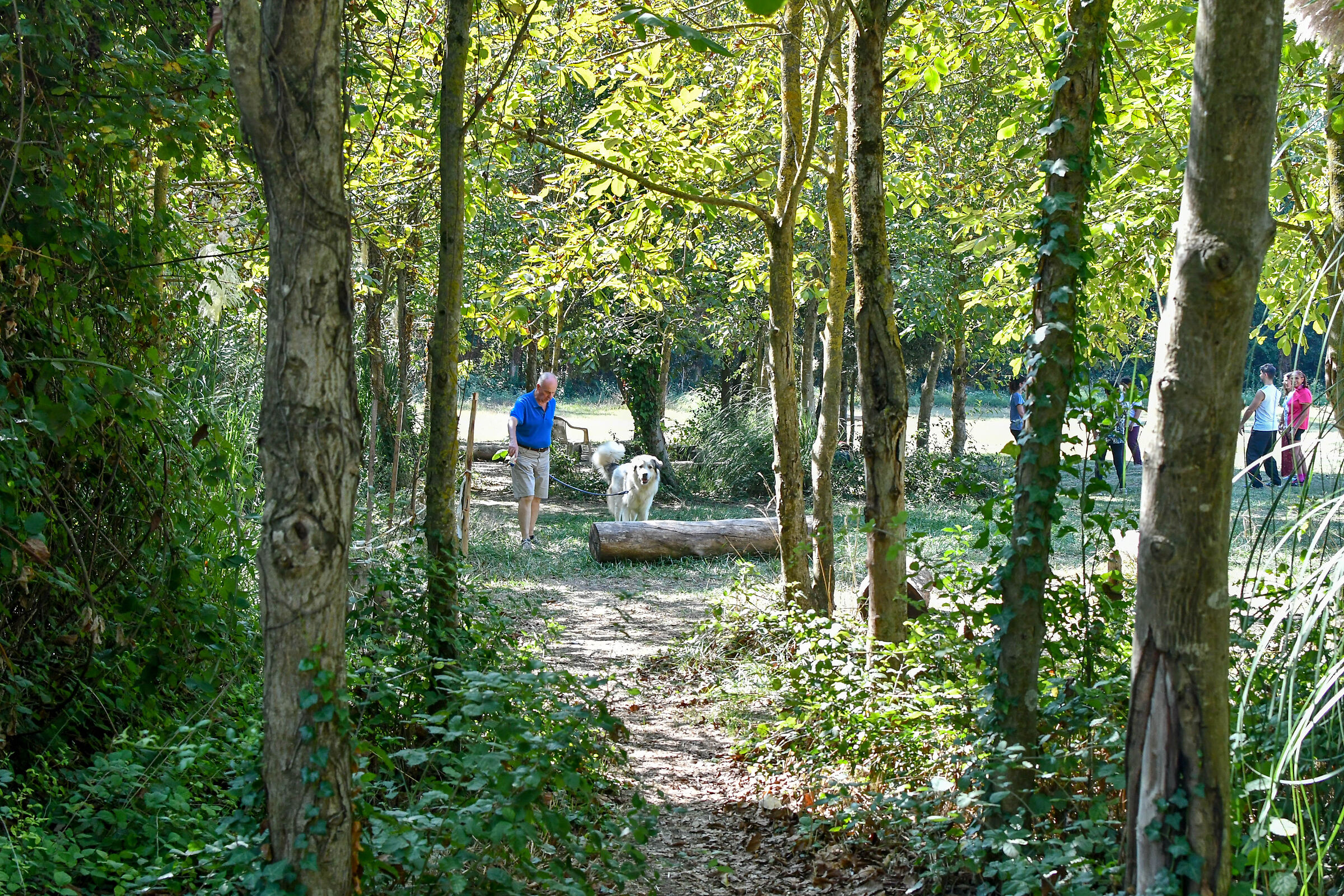 Cellulosa Park
