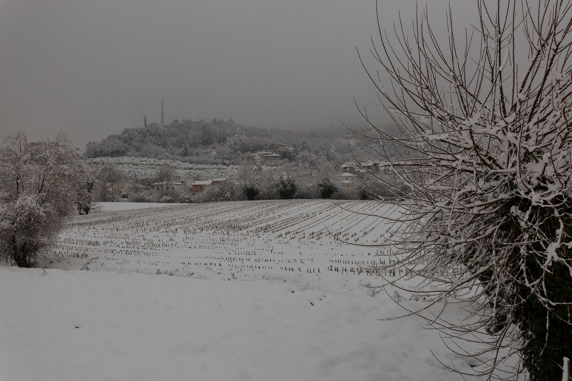 Piacevole risveglio imbiancato oggi