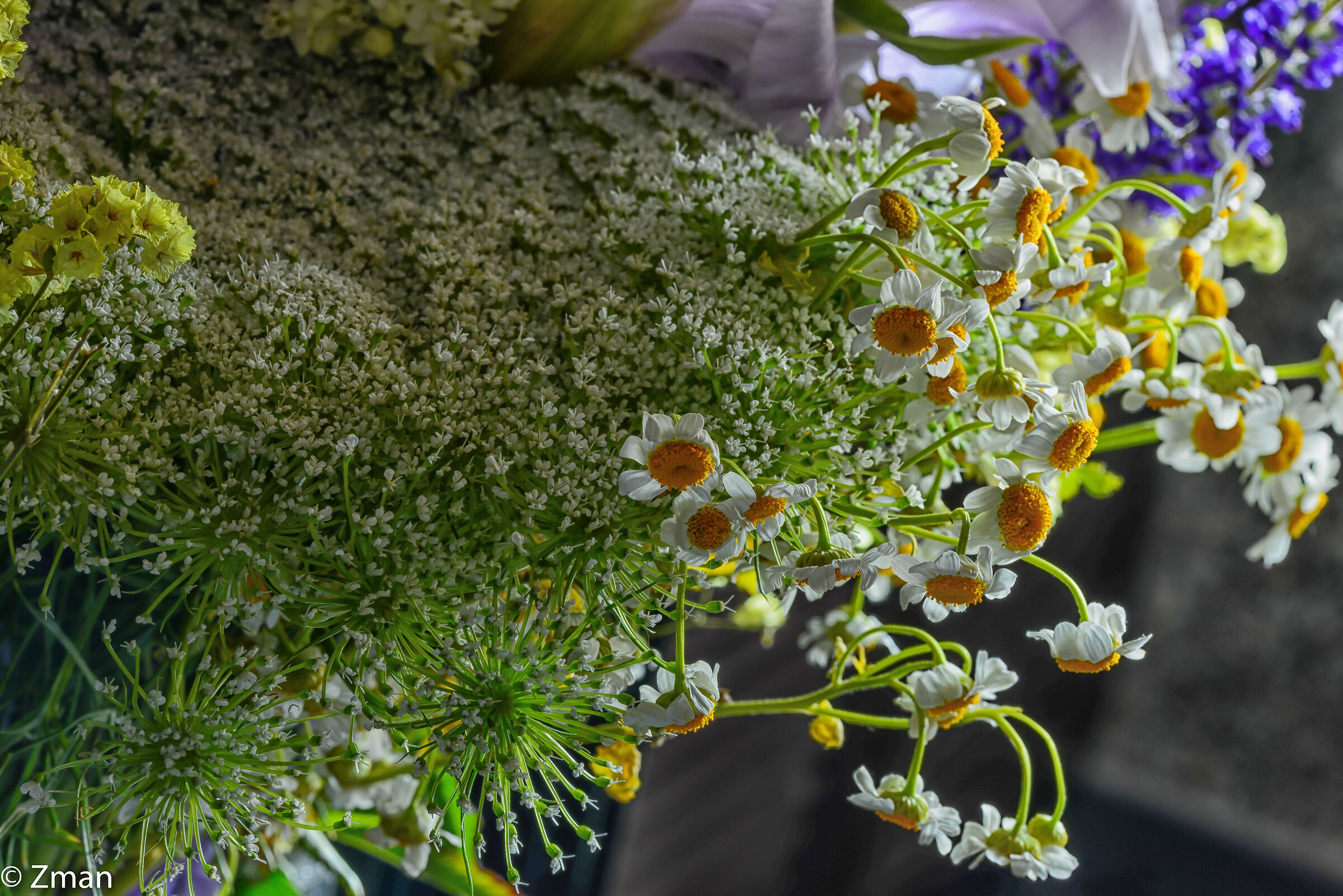 Fiori, rose e altro ancora