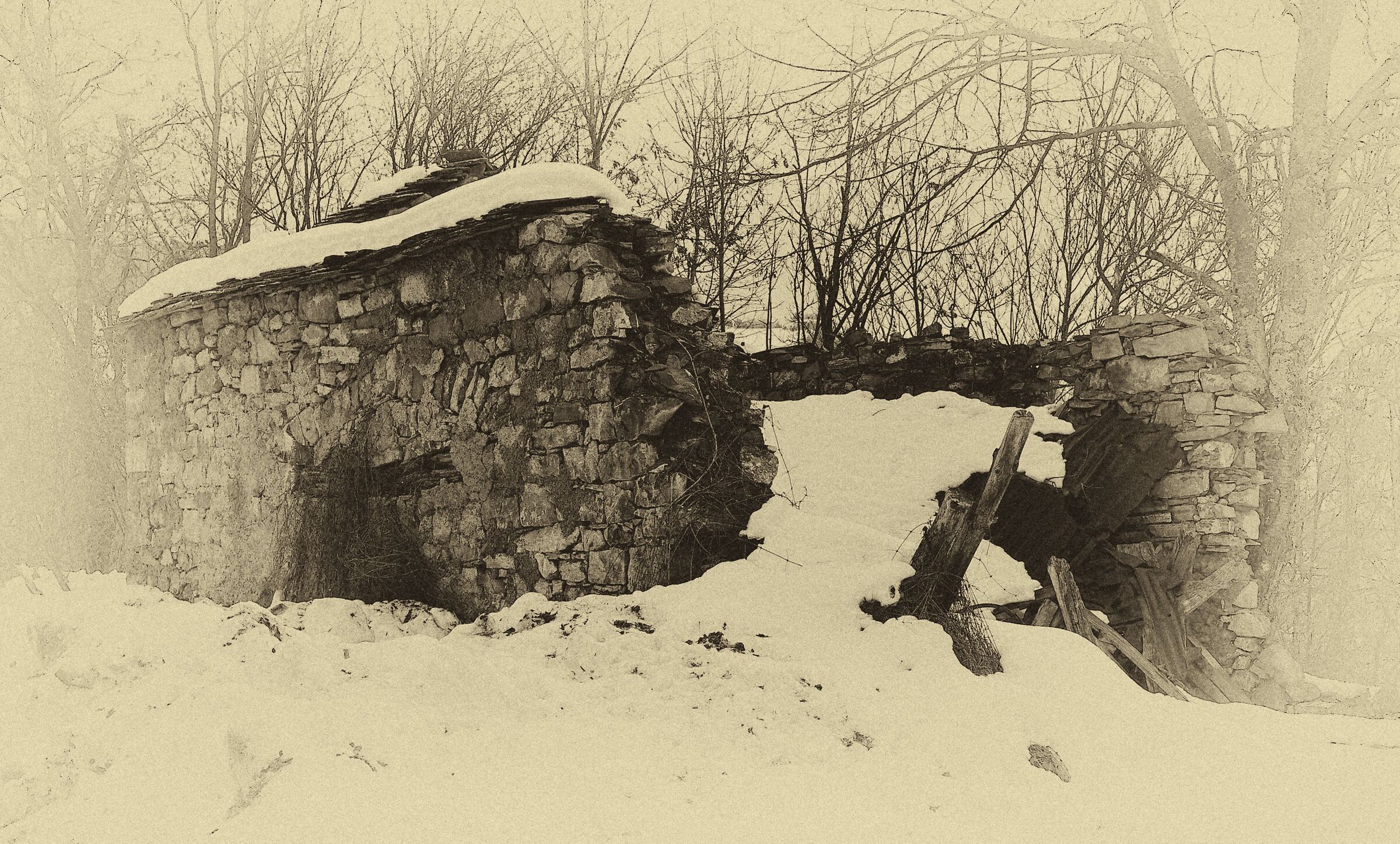 16/12/2020 - Neve e abbandono