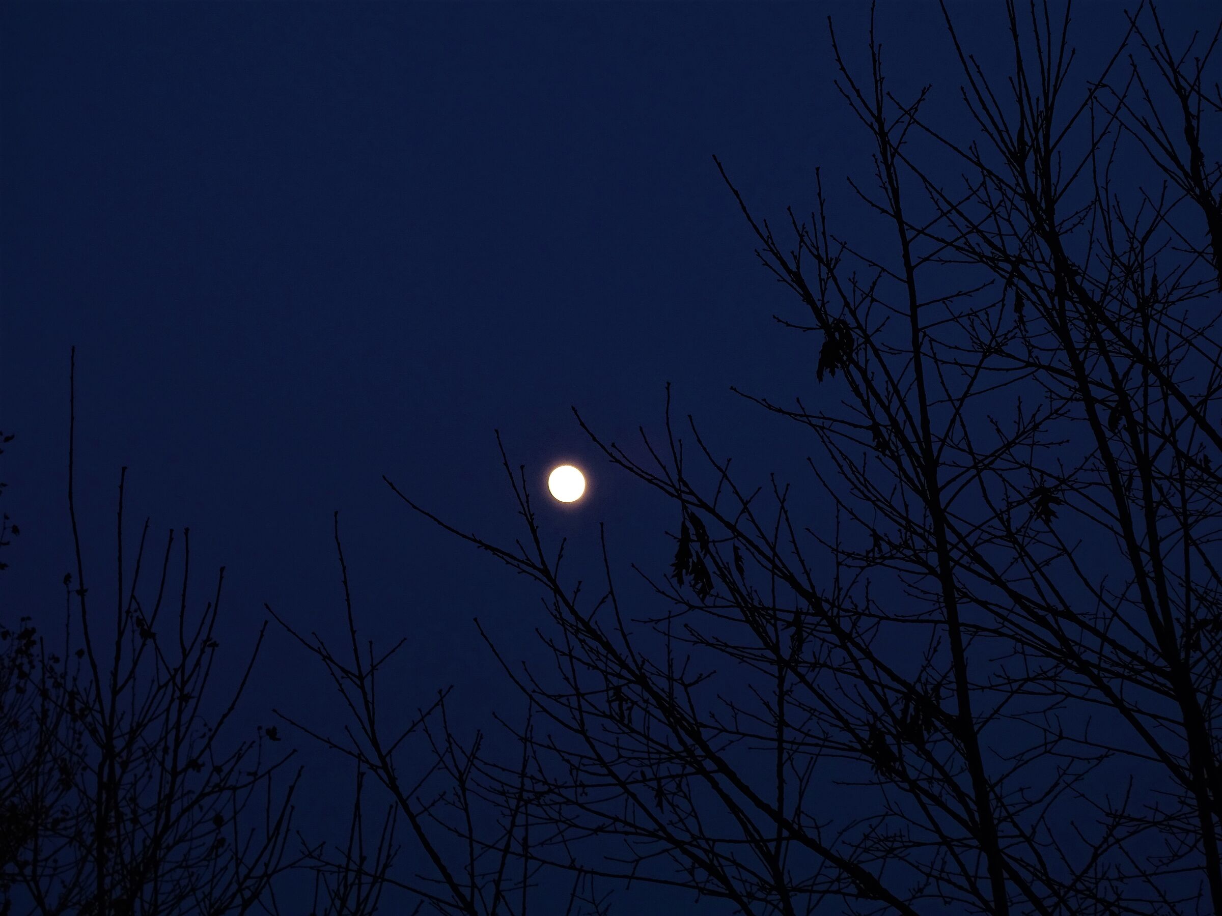 luna ...ora blu...28.12.2020