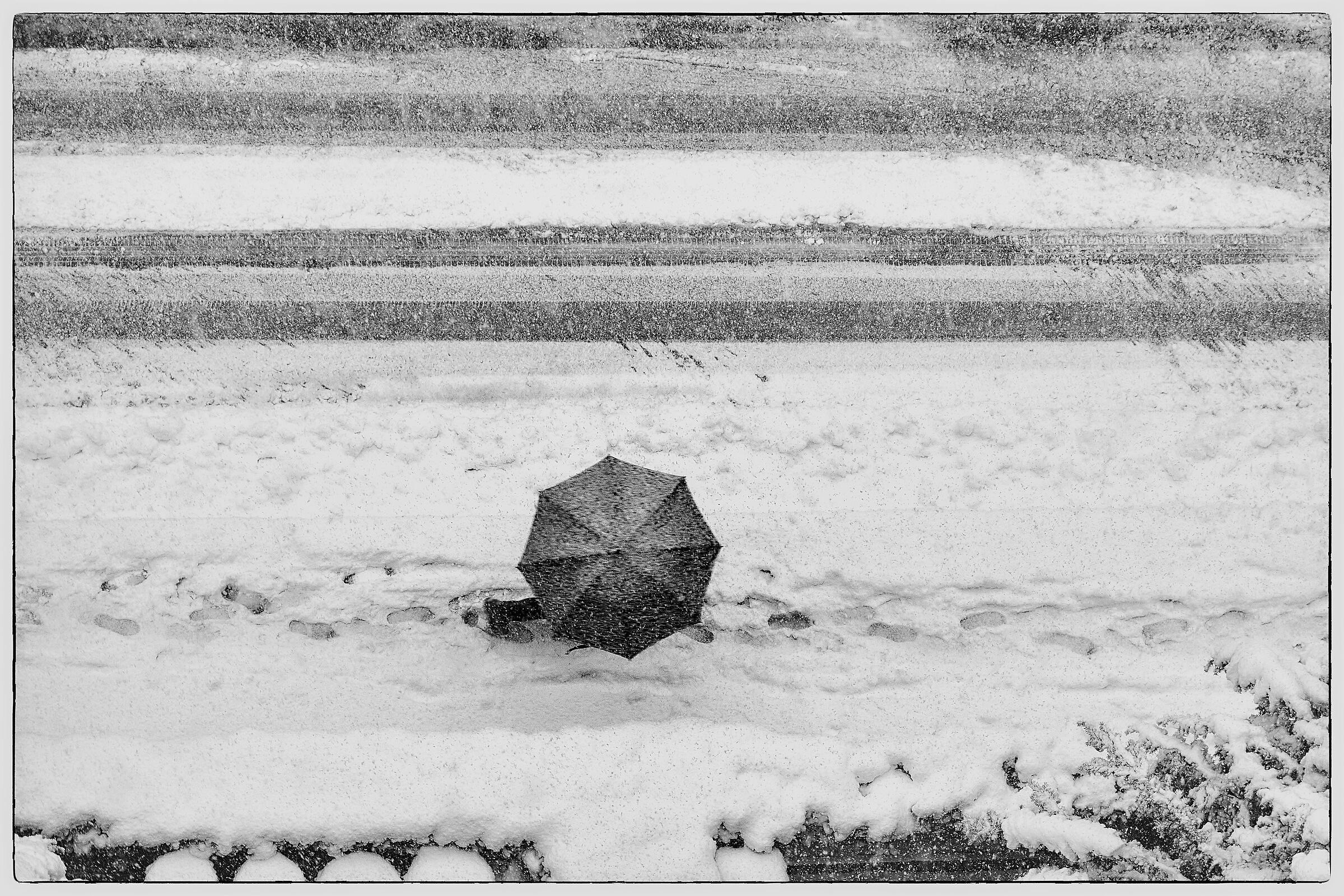 Passeggiata sotto la neve