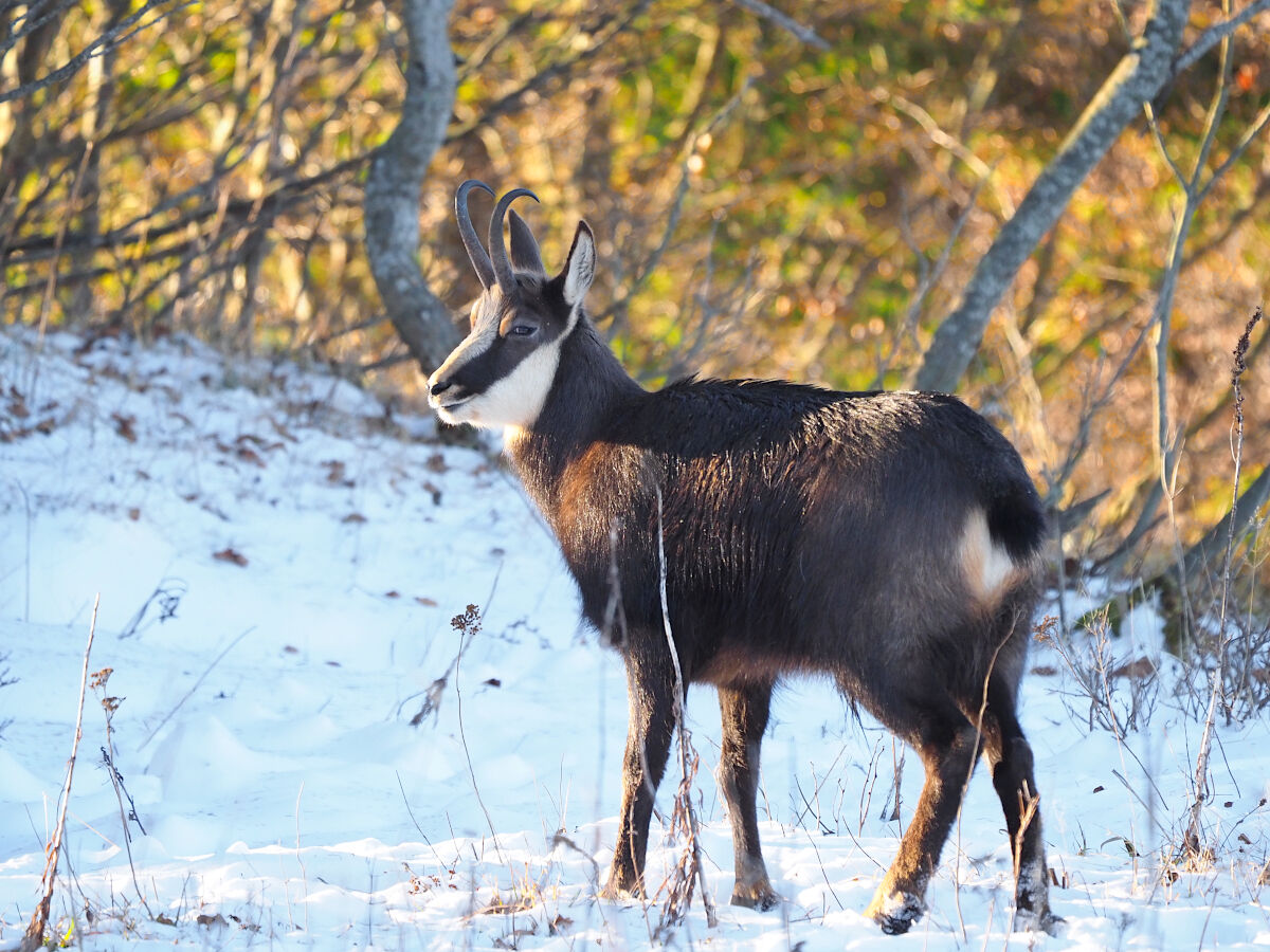 Mmmhh .... I think I know you!!