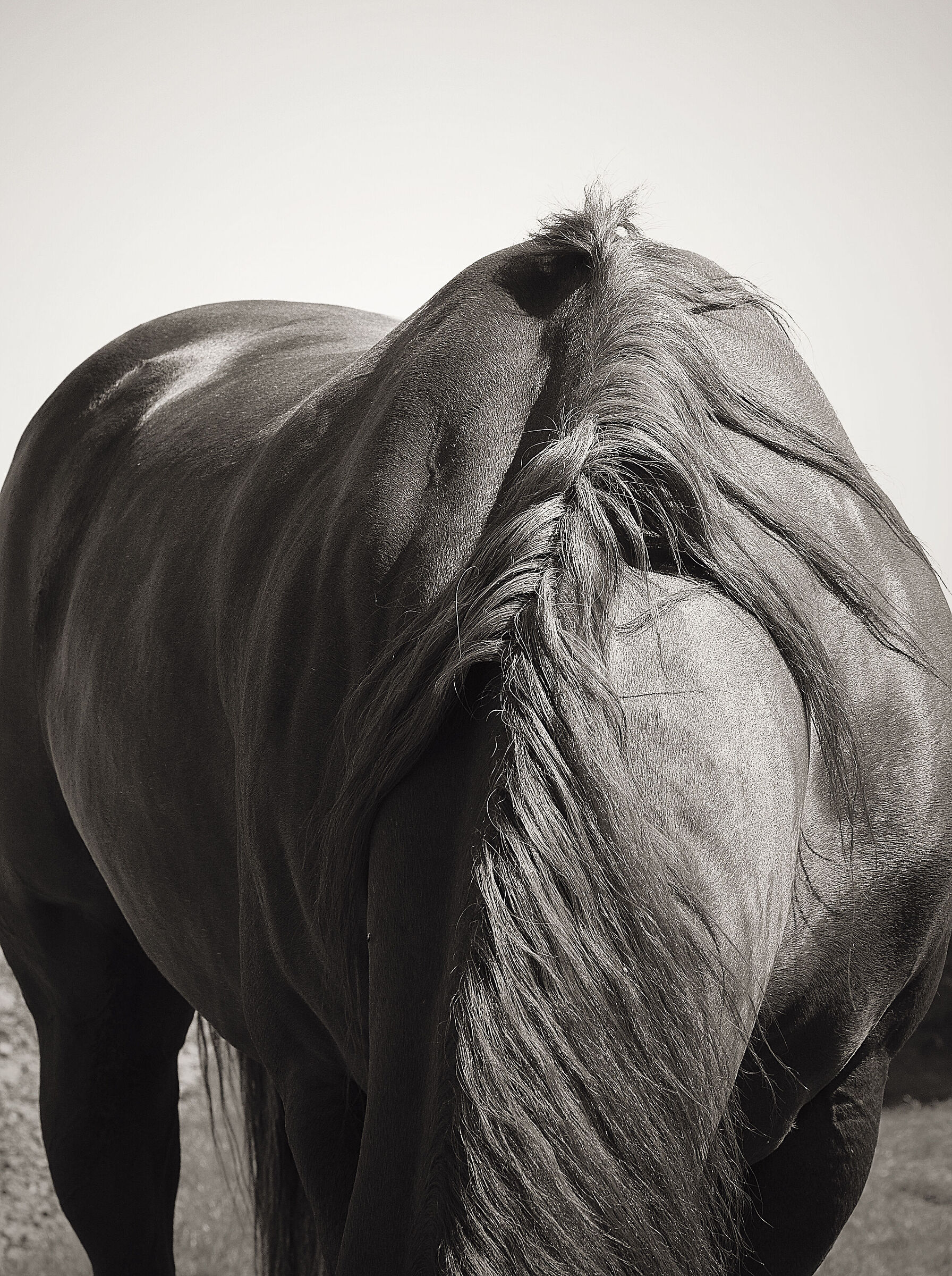 ...bareback...