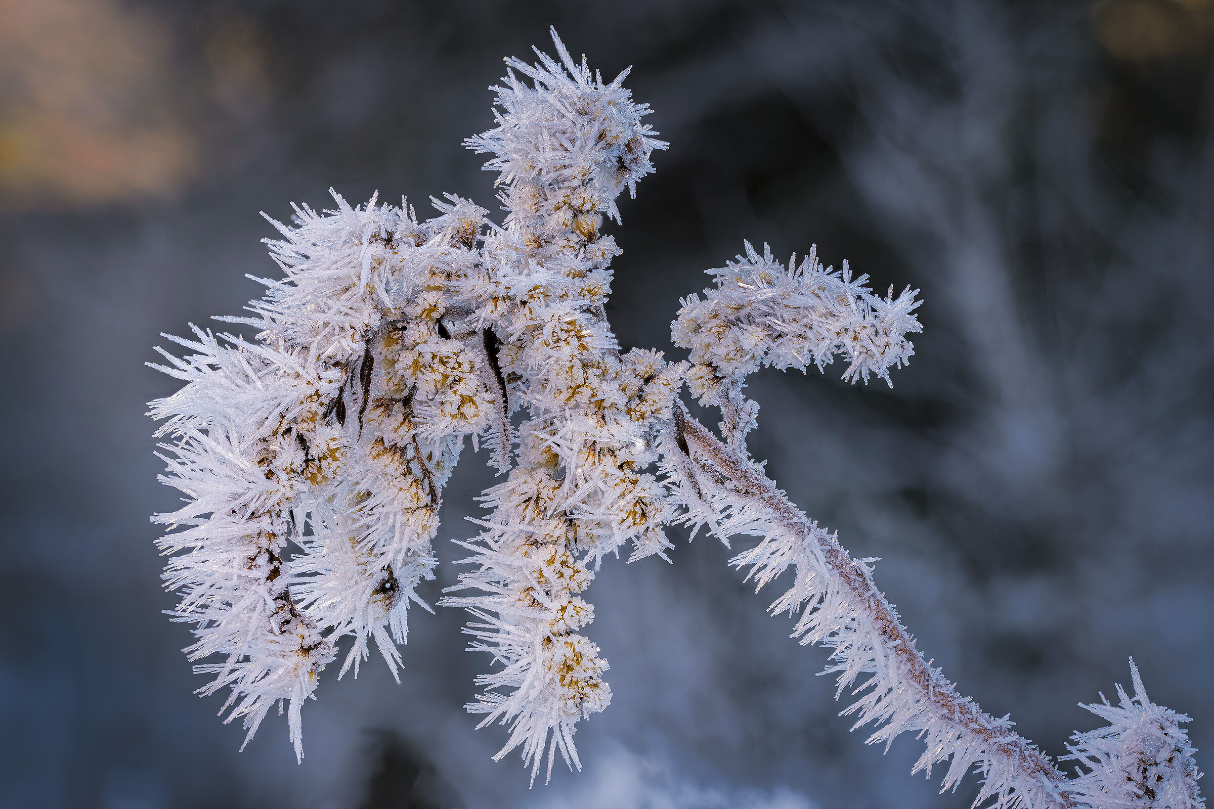 Winter Magic 3