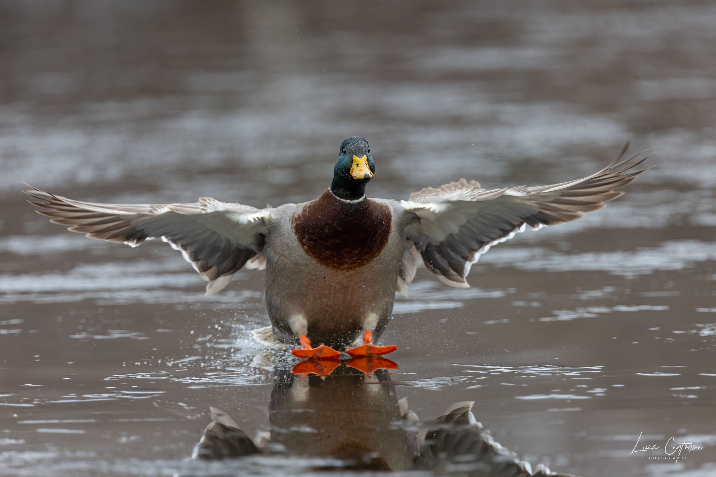 l'ABS sul ghiaccio non funziona.....