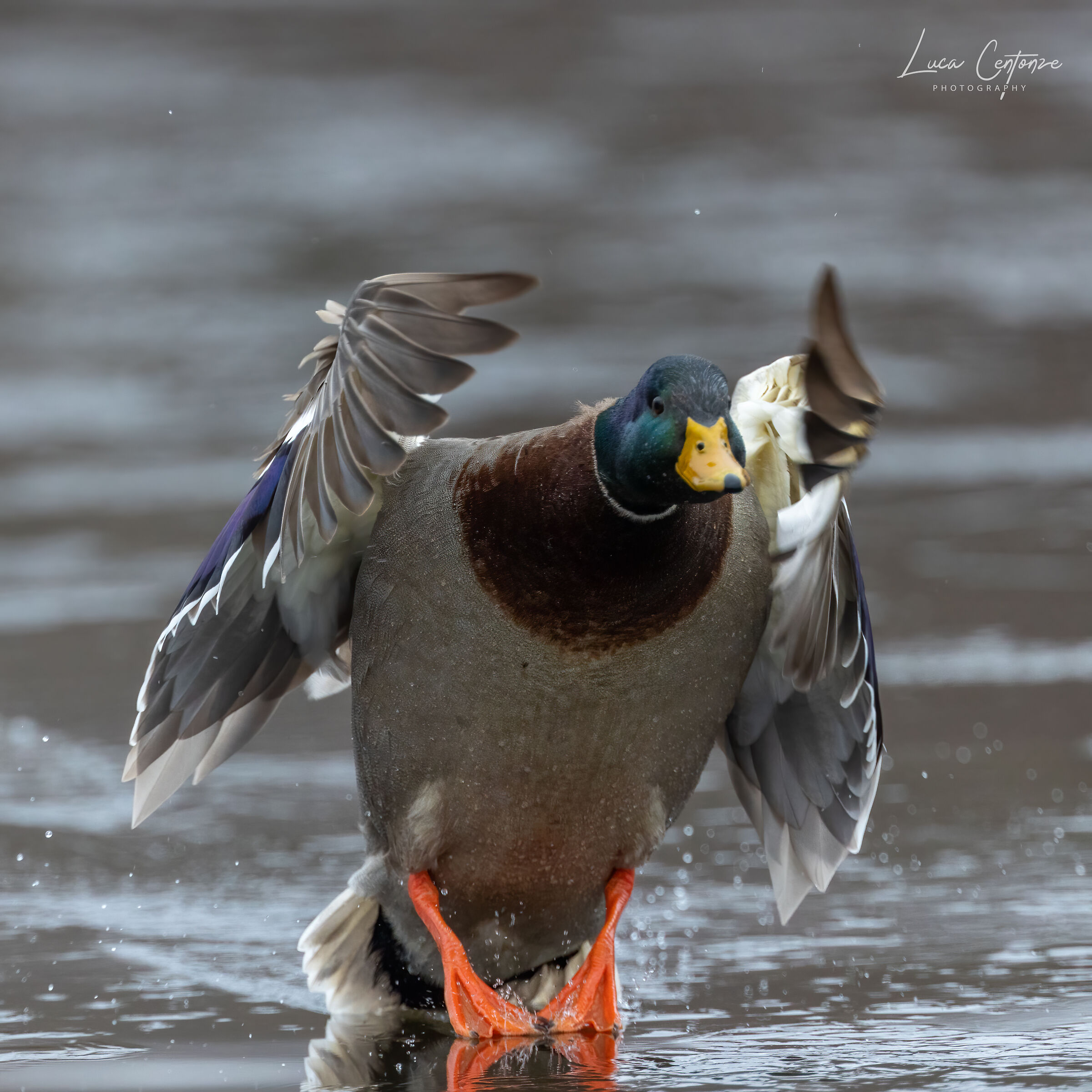 Aiuuuuto non riesco a fermarmi ........