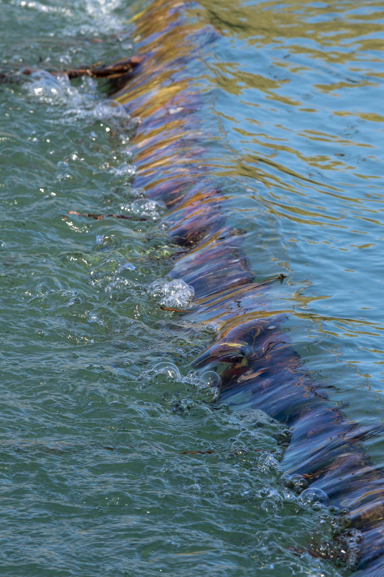 Il movimento dell'acqua