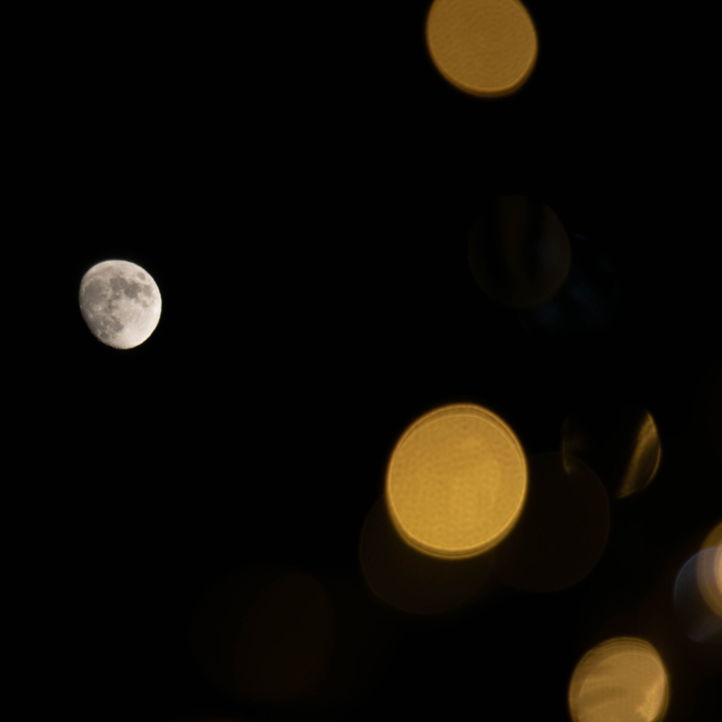 moonlight and lights