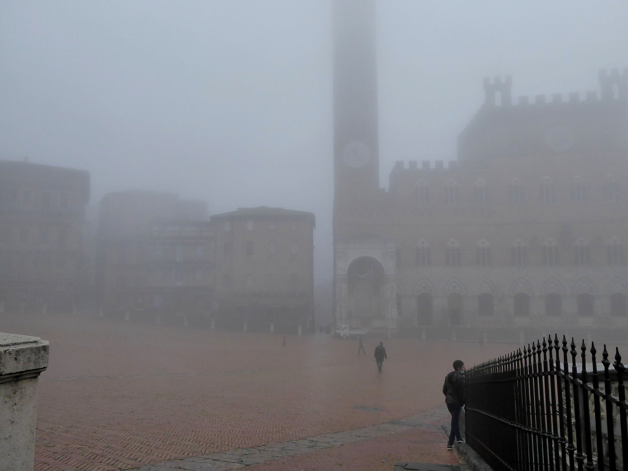 this morning in Piazza del Campo