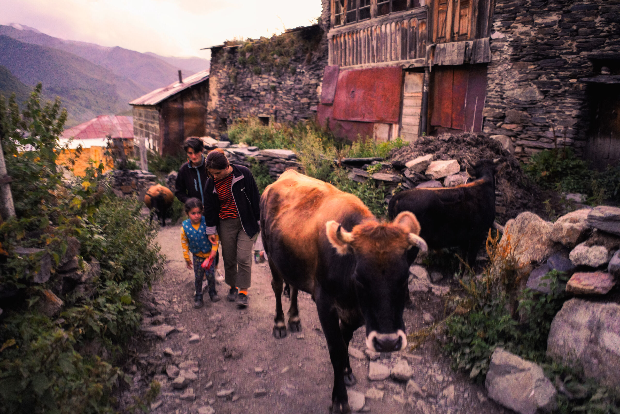 In the evening in Ushguli