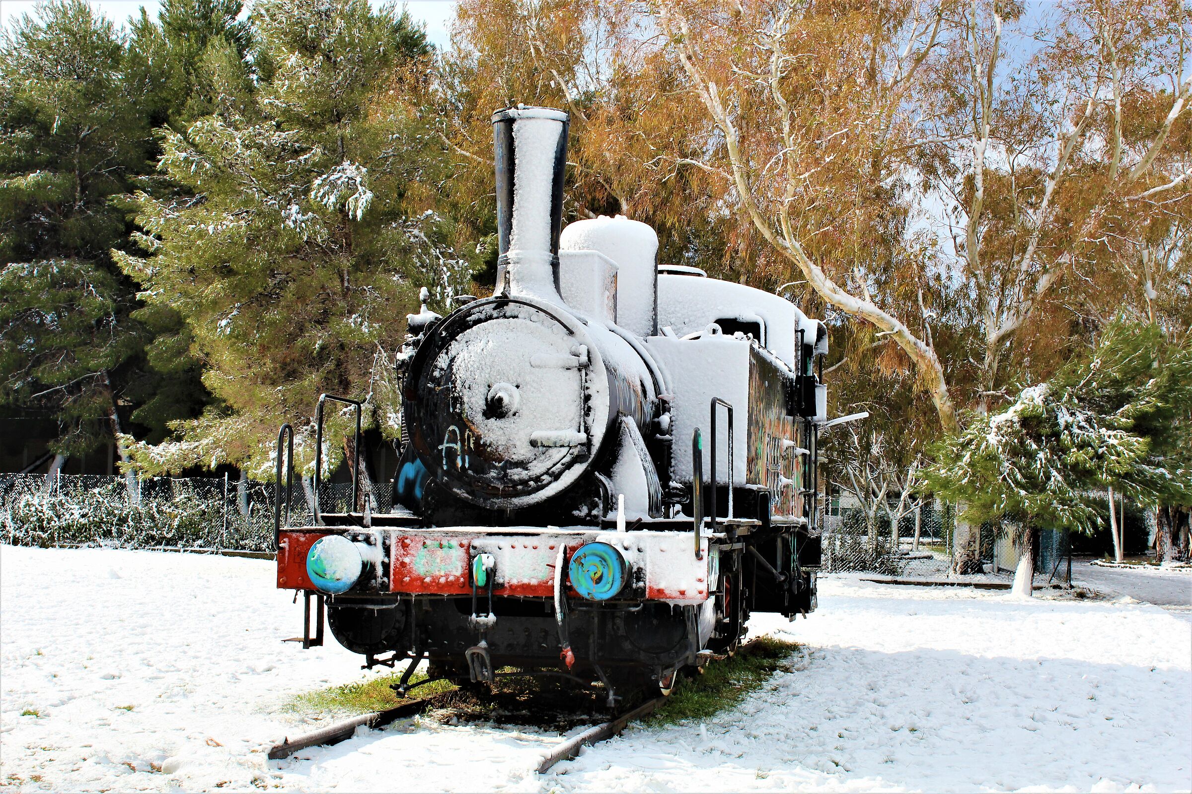 La locomotiva Cecinese