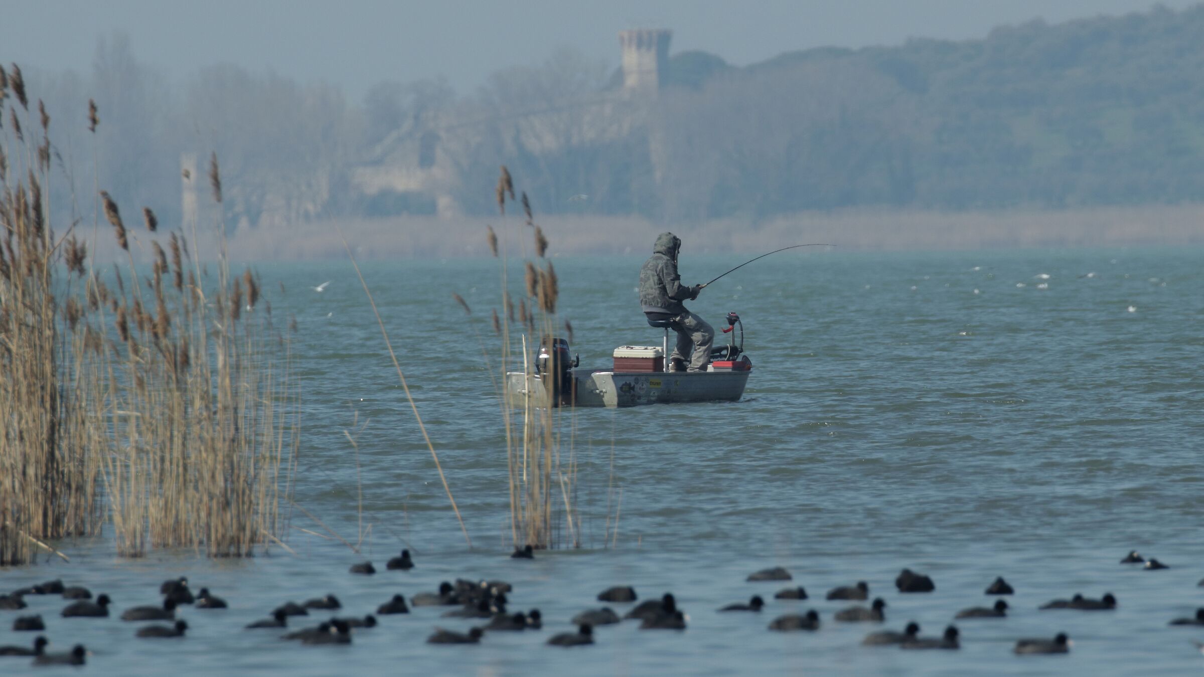 Took!... fishing on Trasimeno